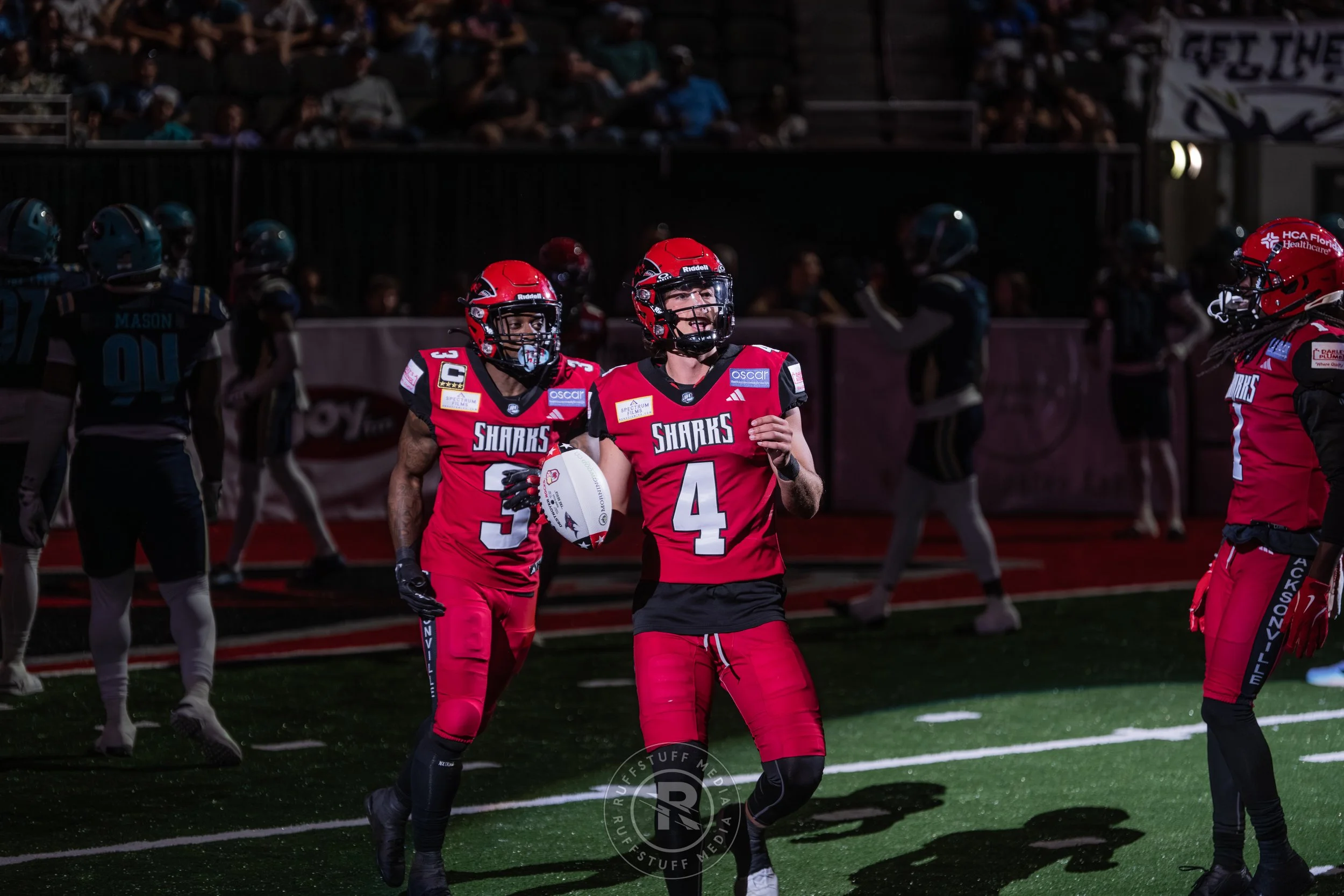 Sharks 260417-385.JPG