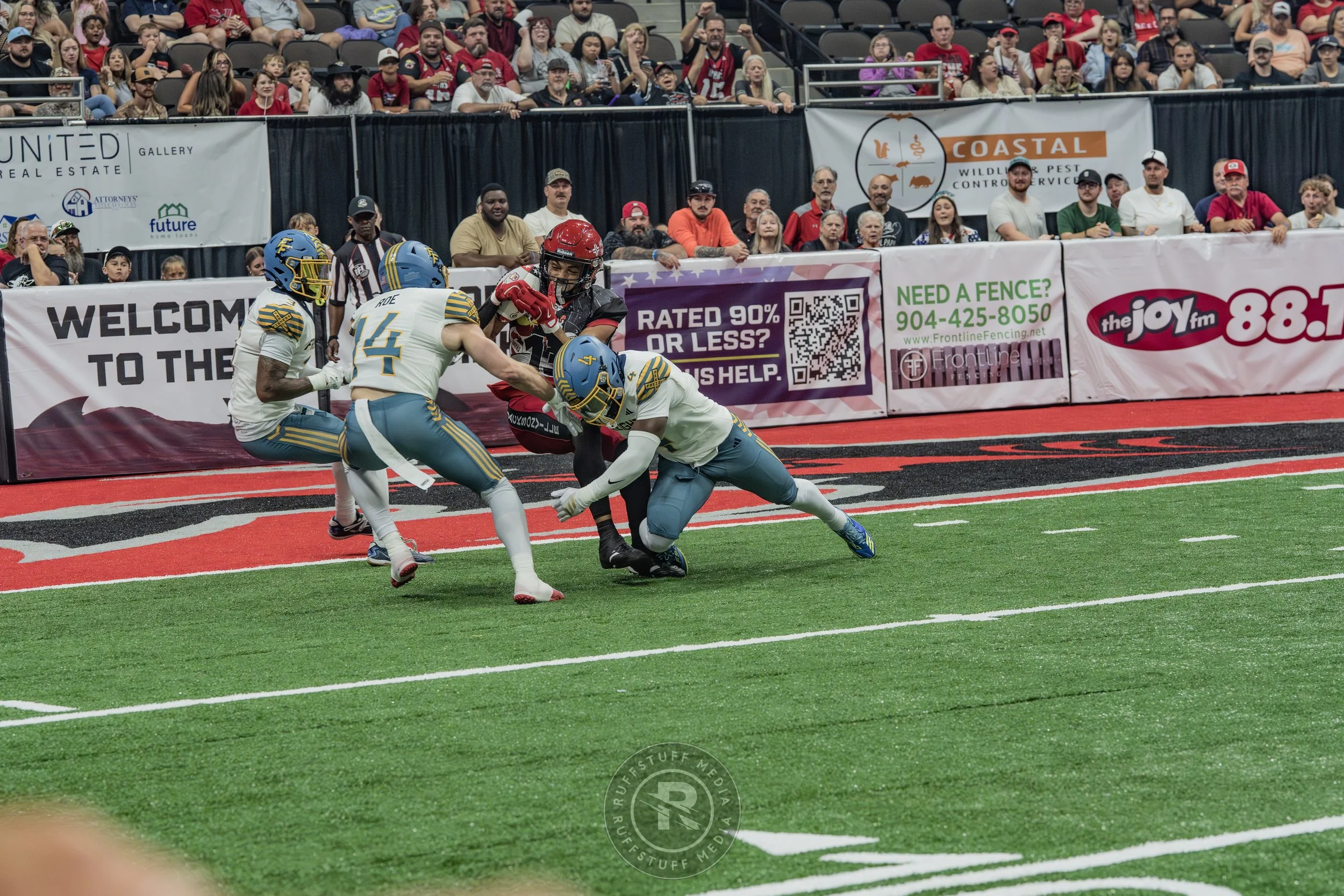 Sharks 260530-196.JPG
