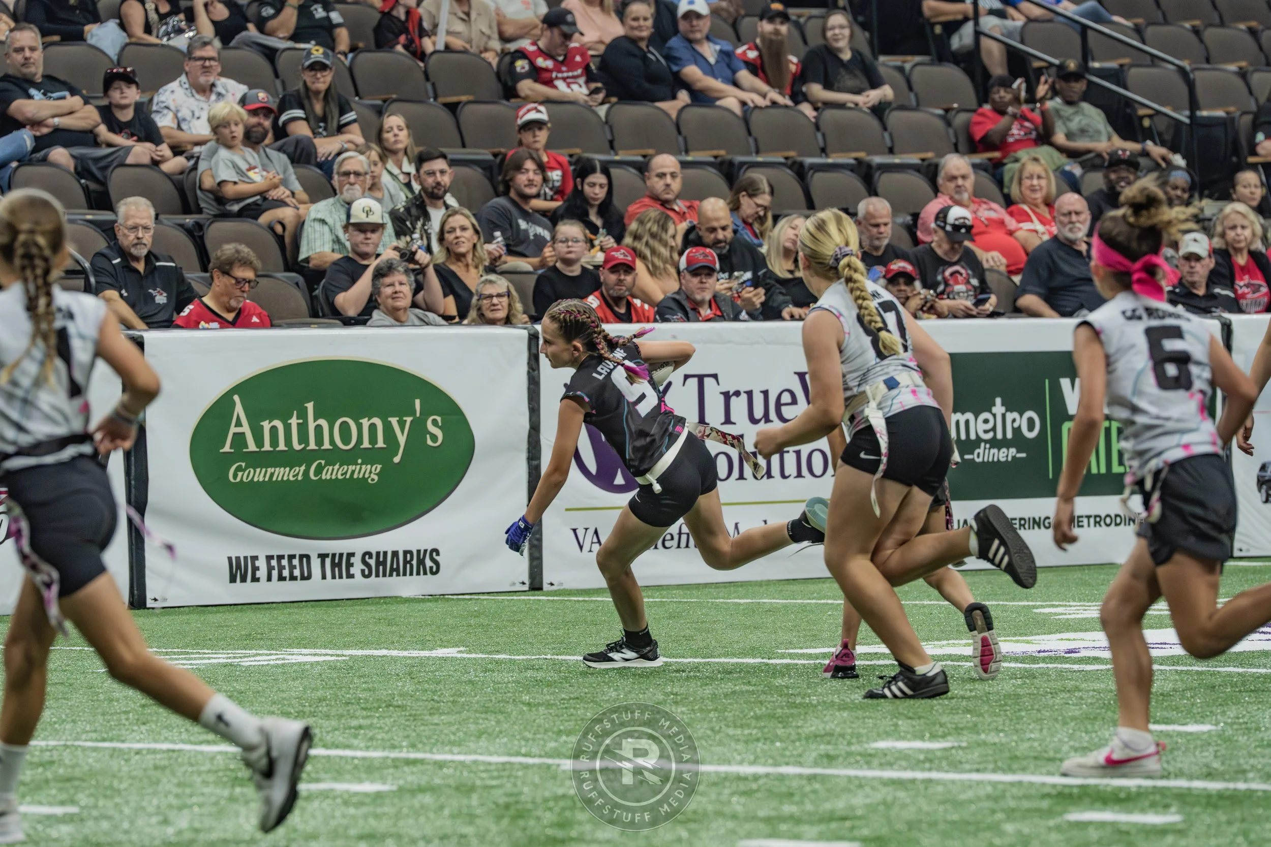 Sharks 260530-410.JPG