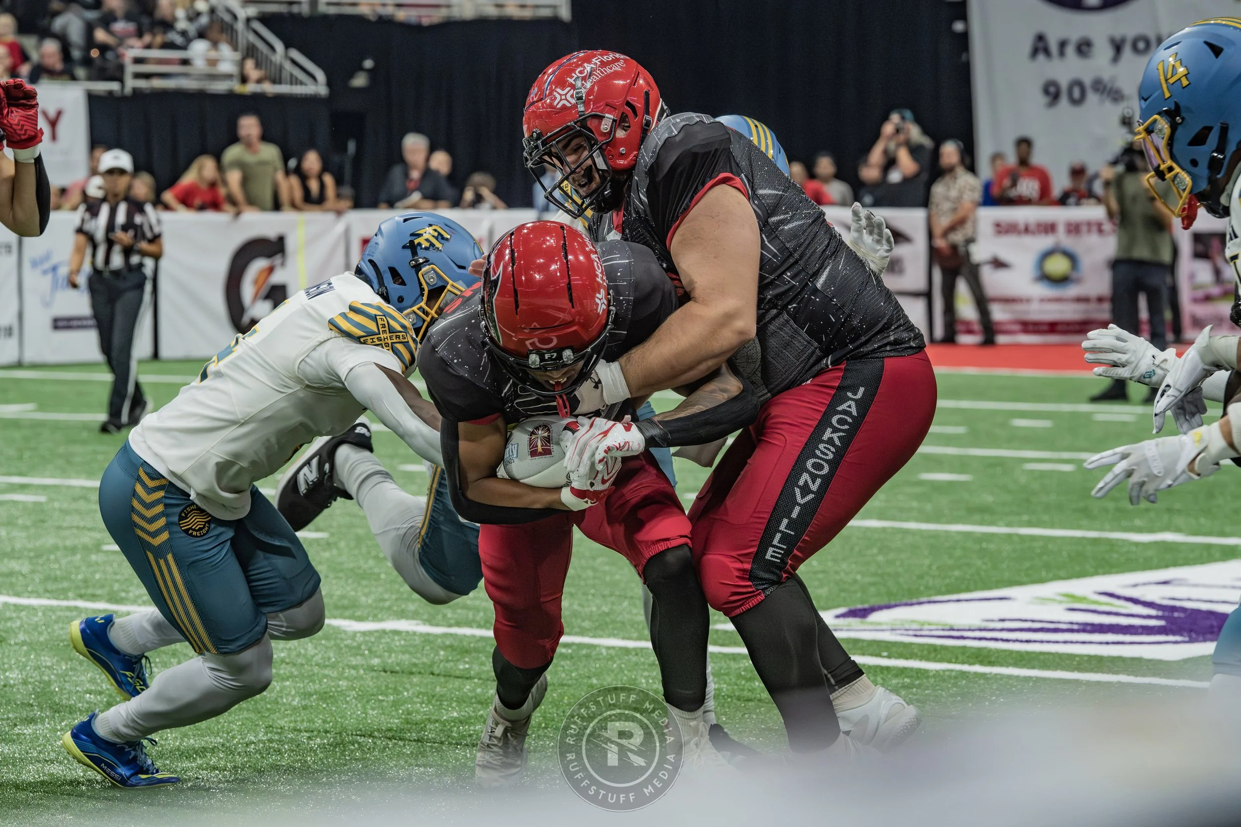 Sharks 260530-504.JPG
