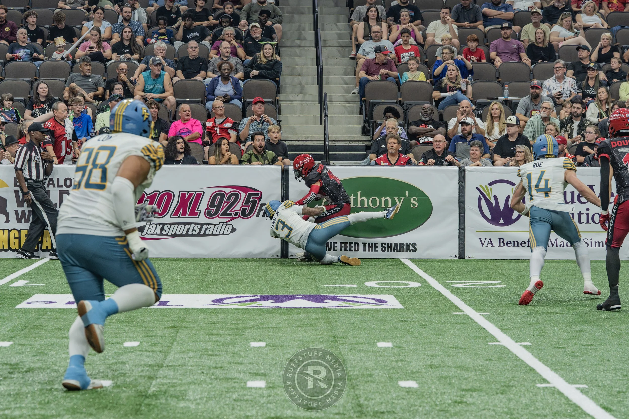 Sharks 260530-297.JPG