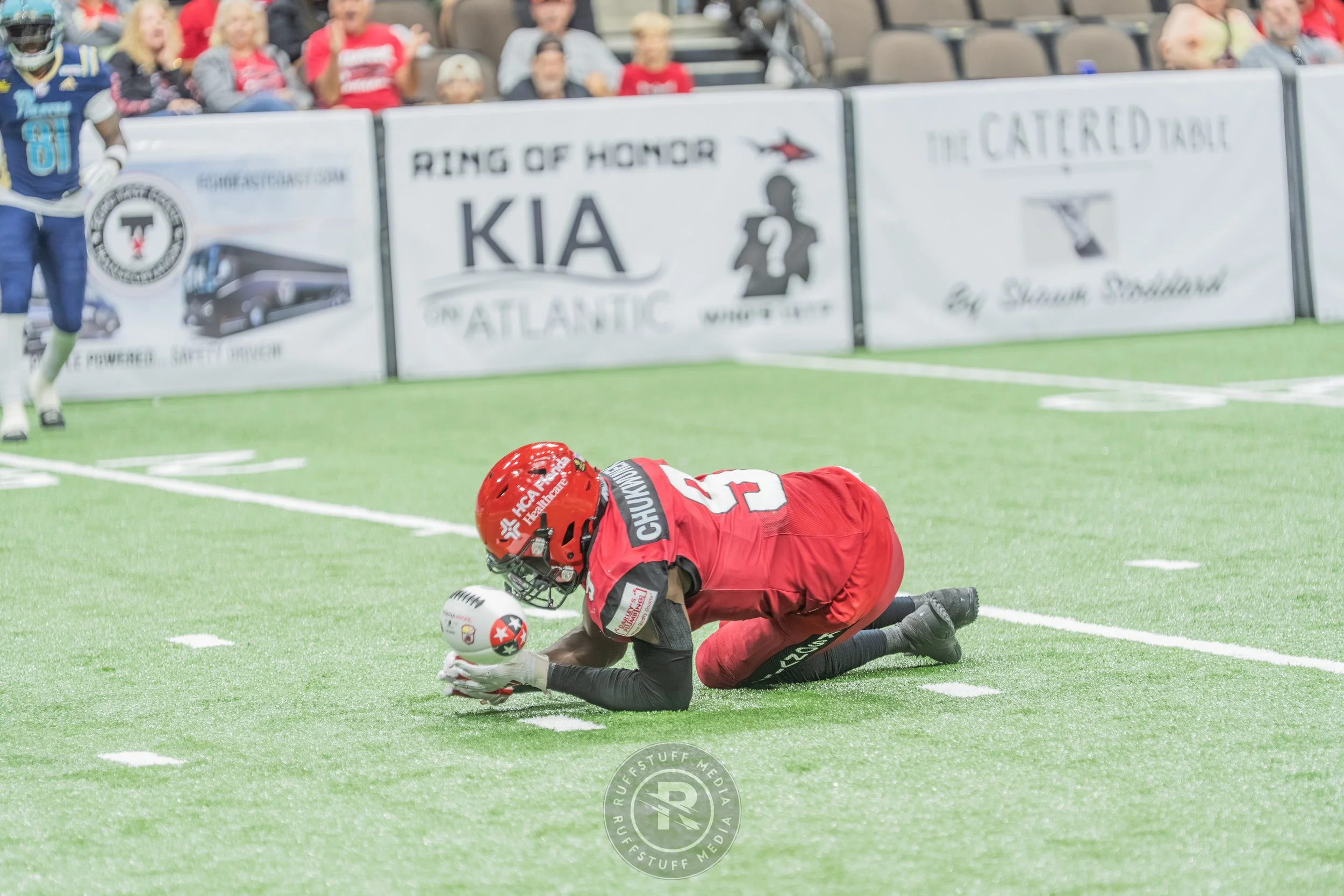 Sharks 260417-459.JPG