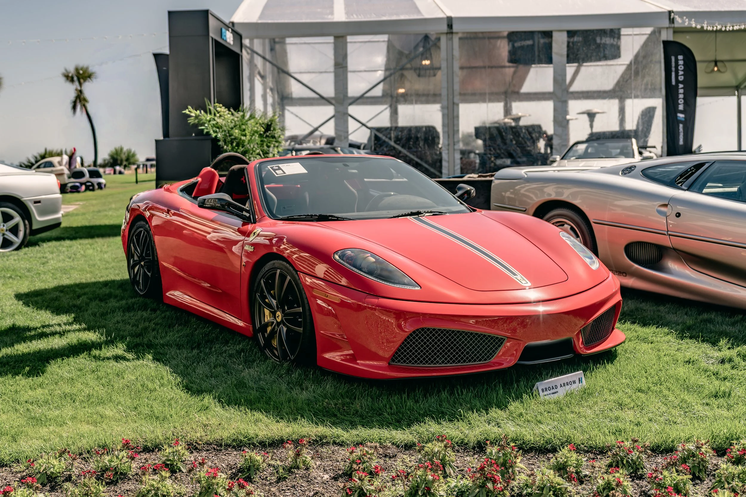 IG-Amelia 260305-22.JPG