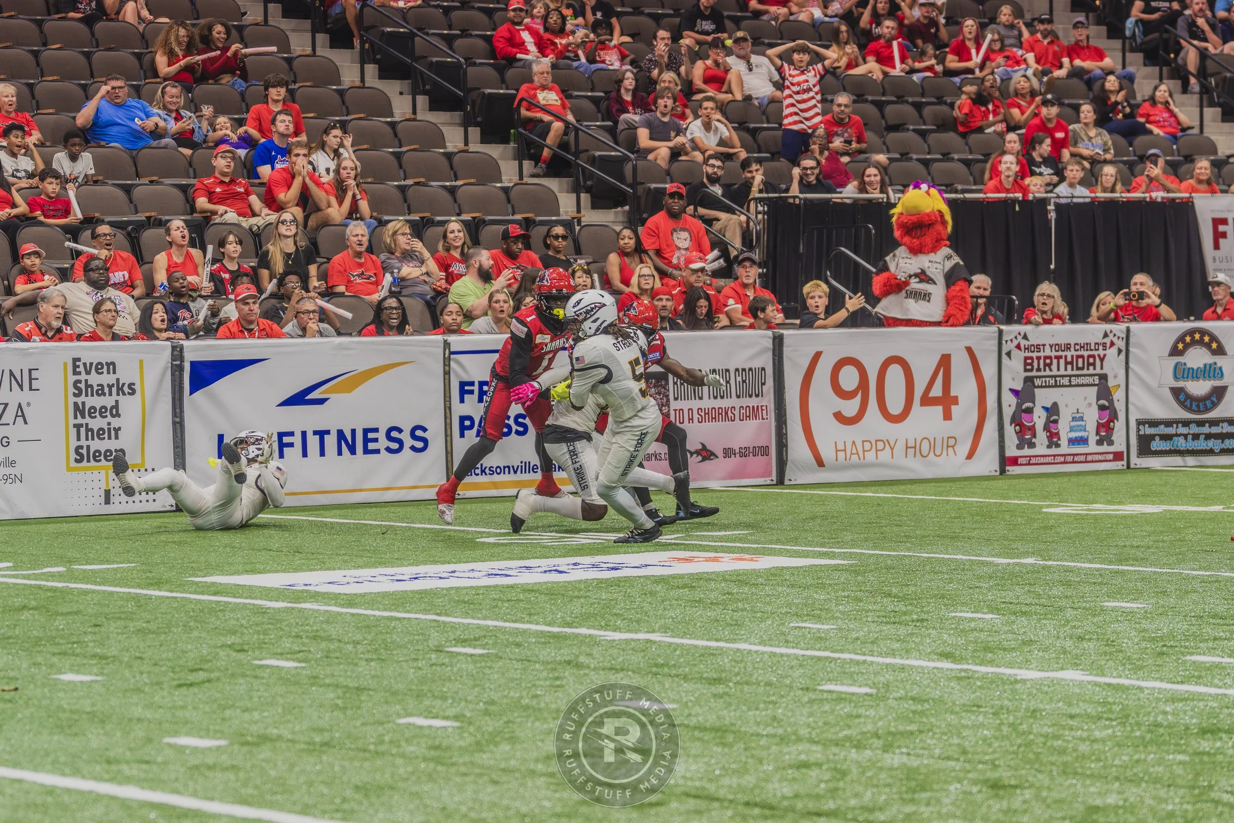 Sharks 260628-540.JPG