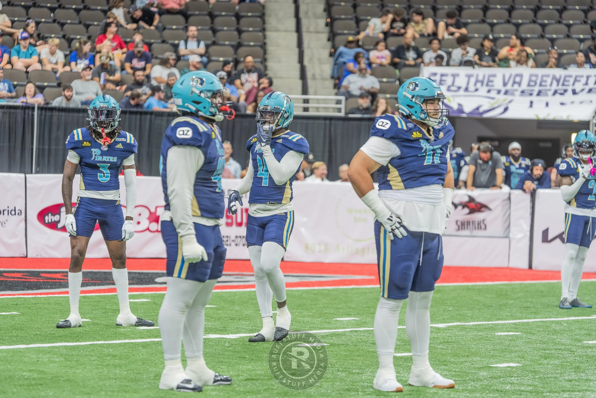 Sharks 260417-446.JPG