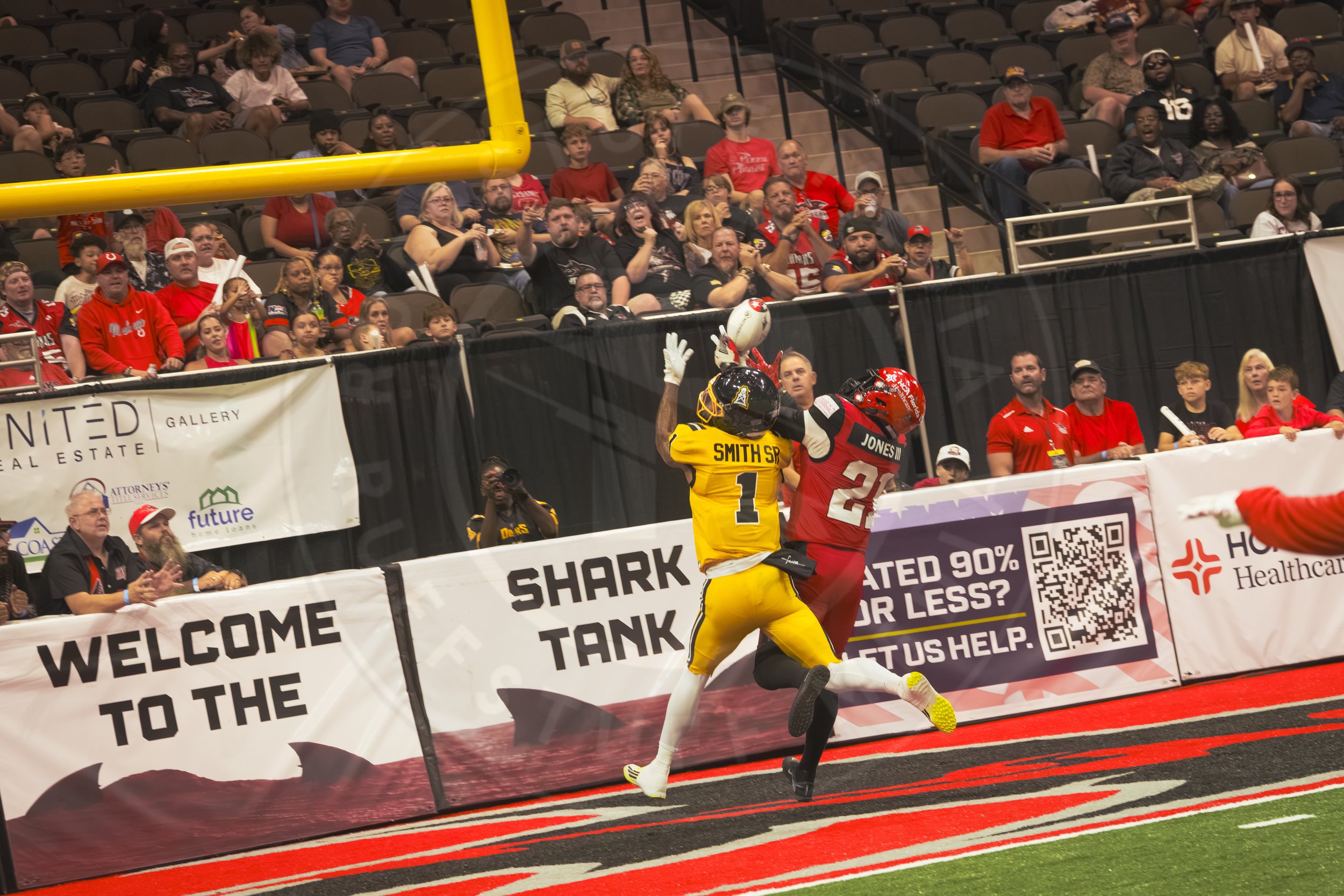 Sharks 260801-87.JPG