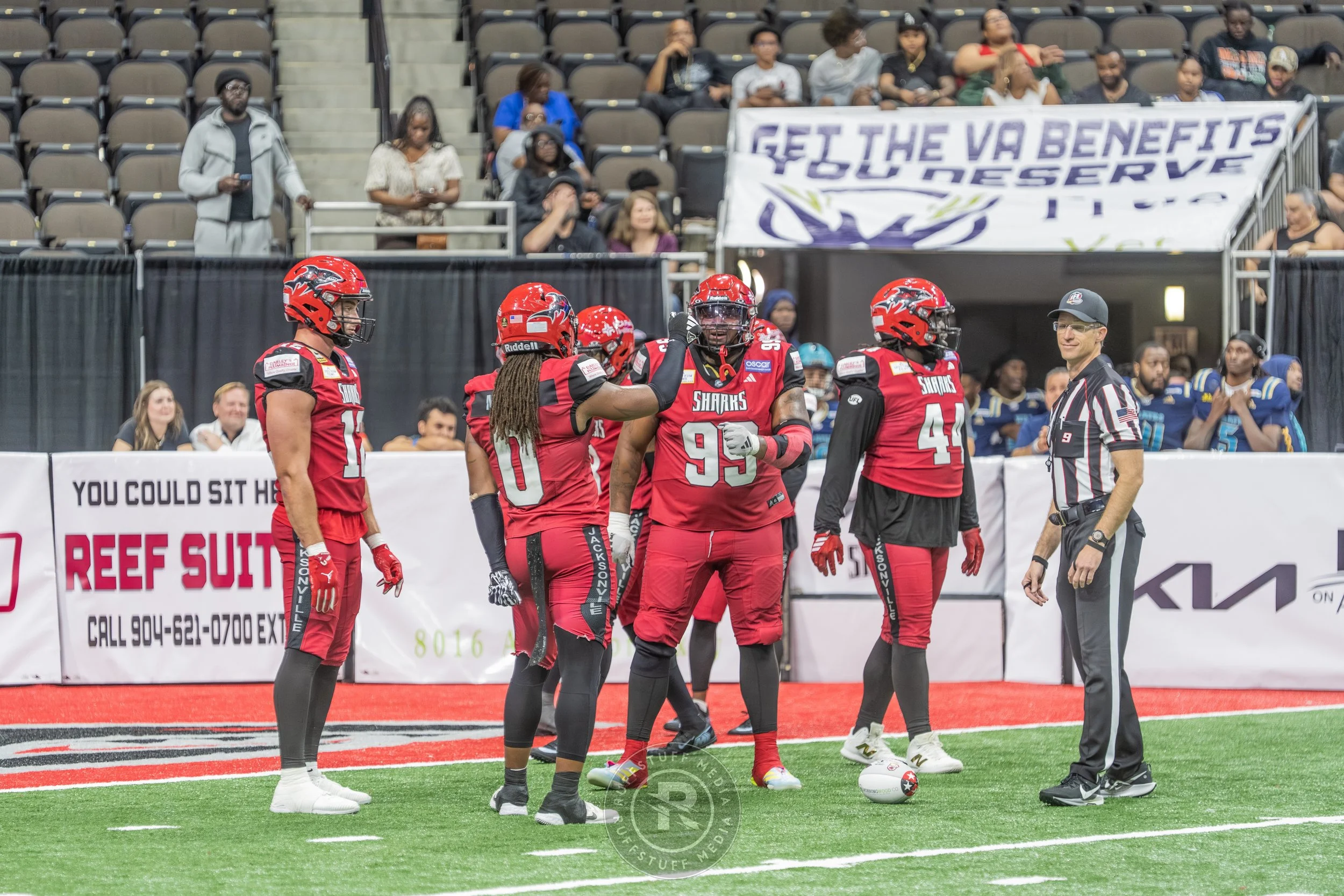 Sharks 260417-543_resize.JPG