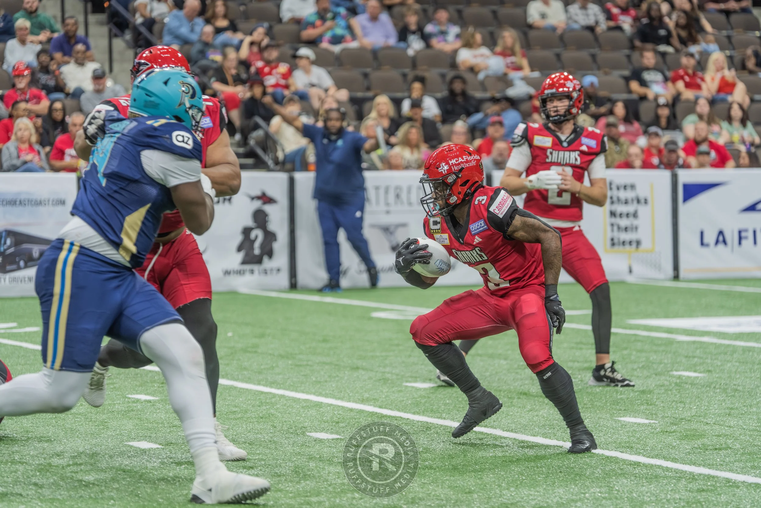 Sharks 260417-374.JPG