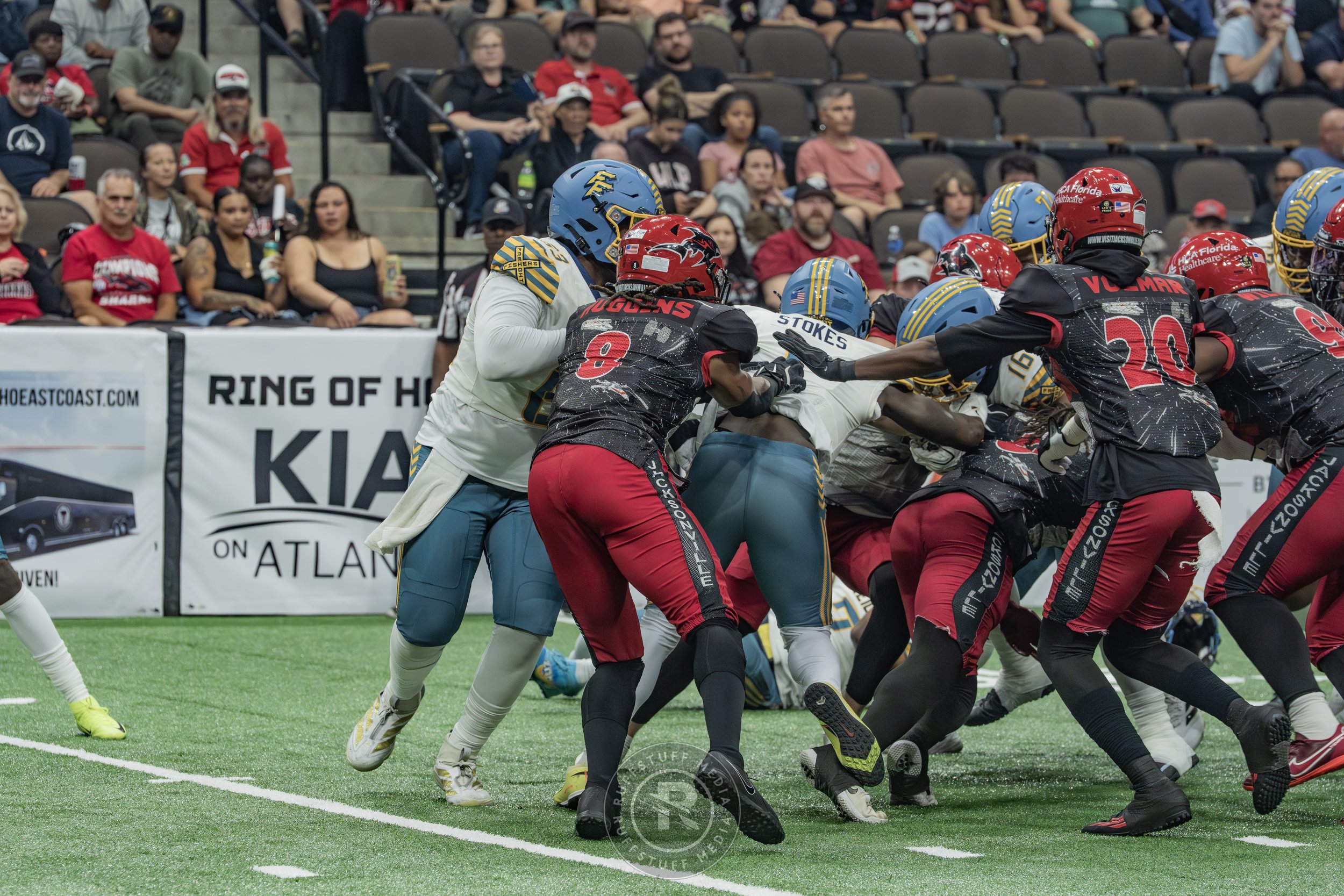 Sharks 260530-272.JPG
