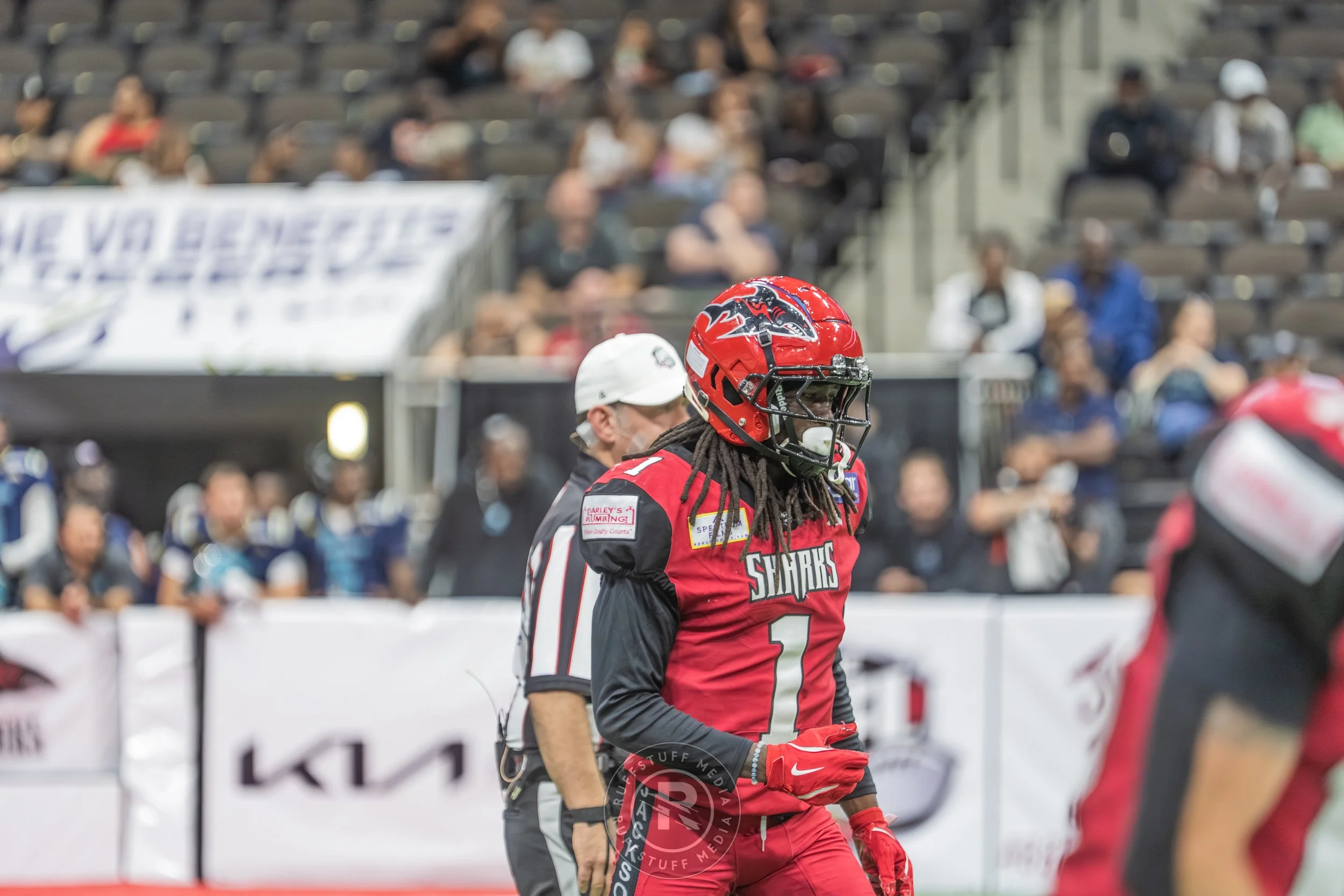 Sharks 260417-492.JPG