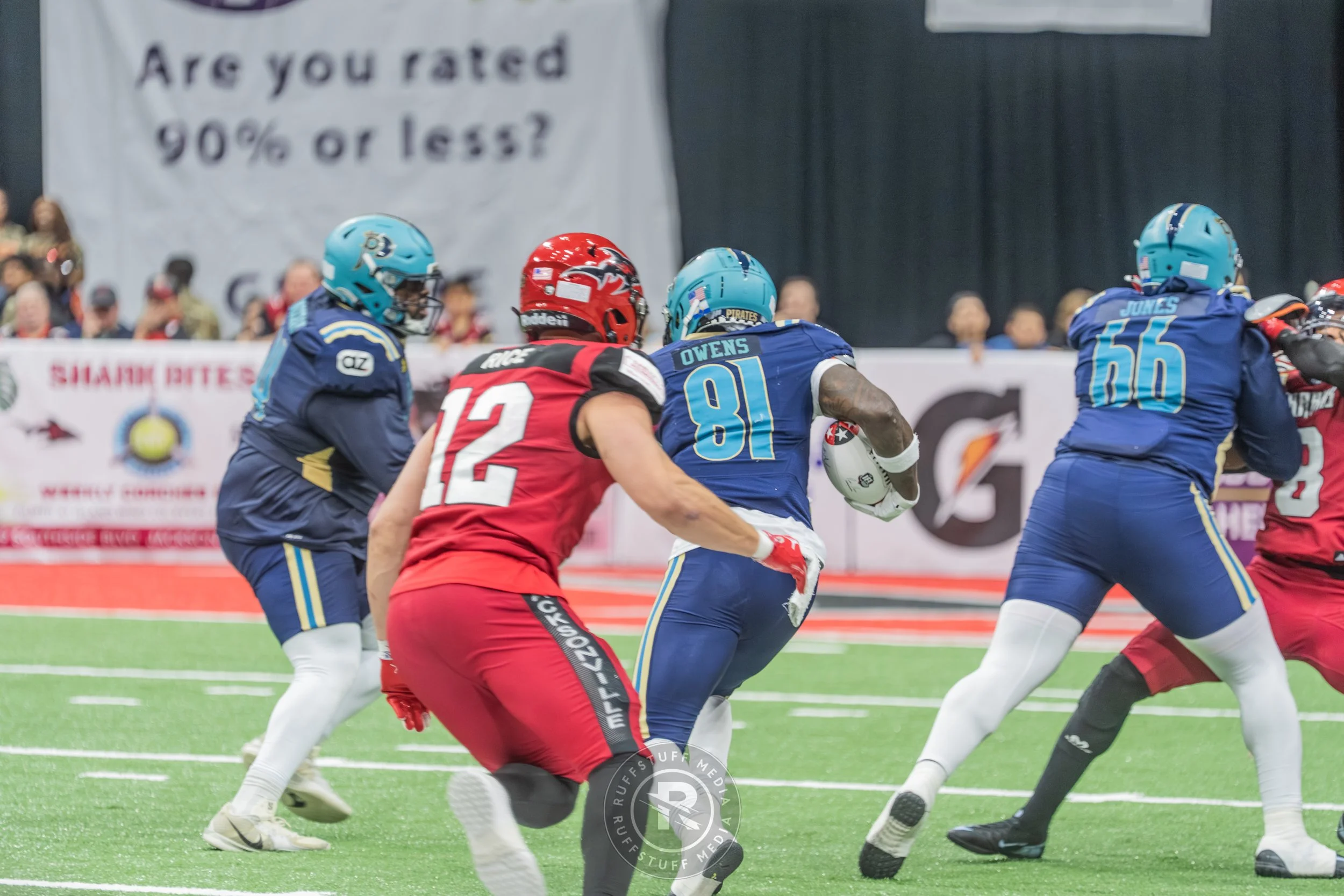 Sharks 260417-399.JPG