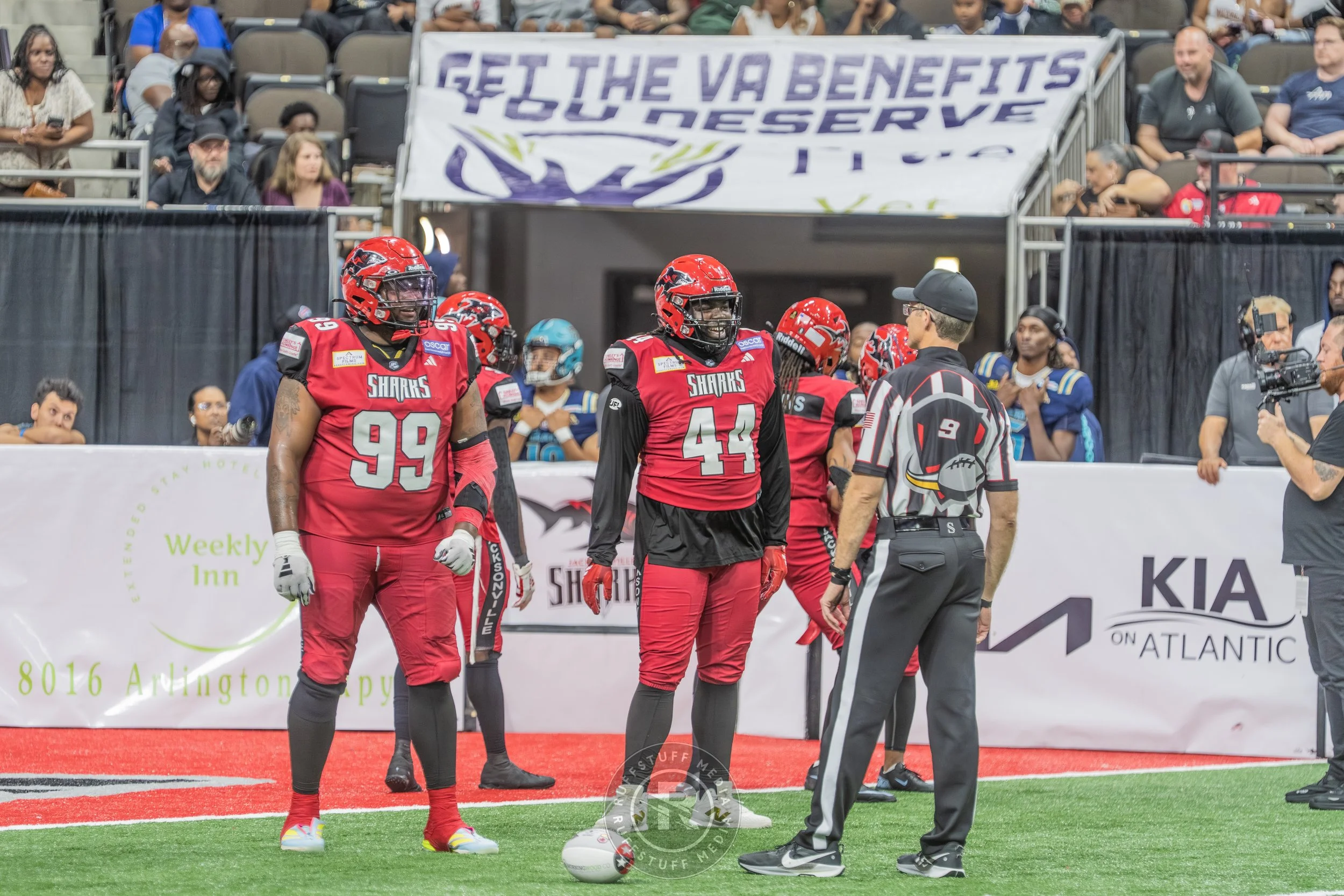 Sharks 260417-539_resize.JPG