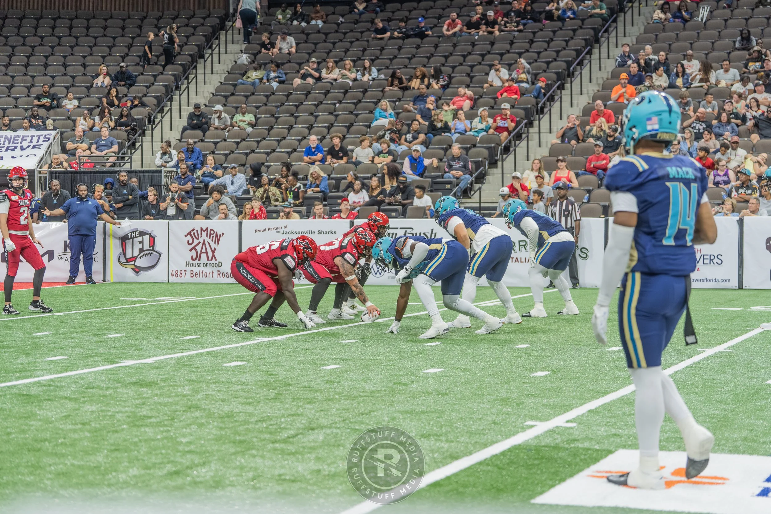 Sharks 260417-472_resize.JPG