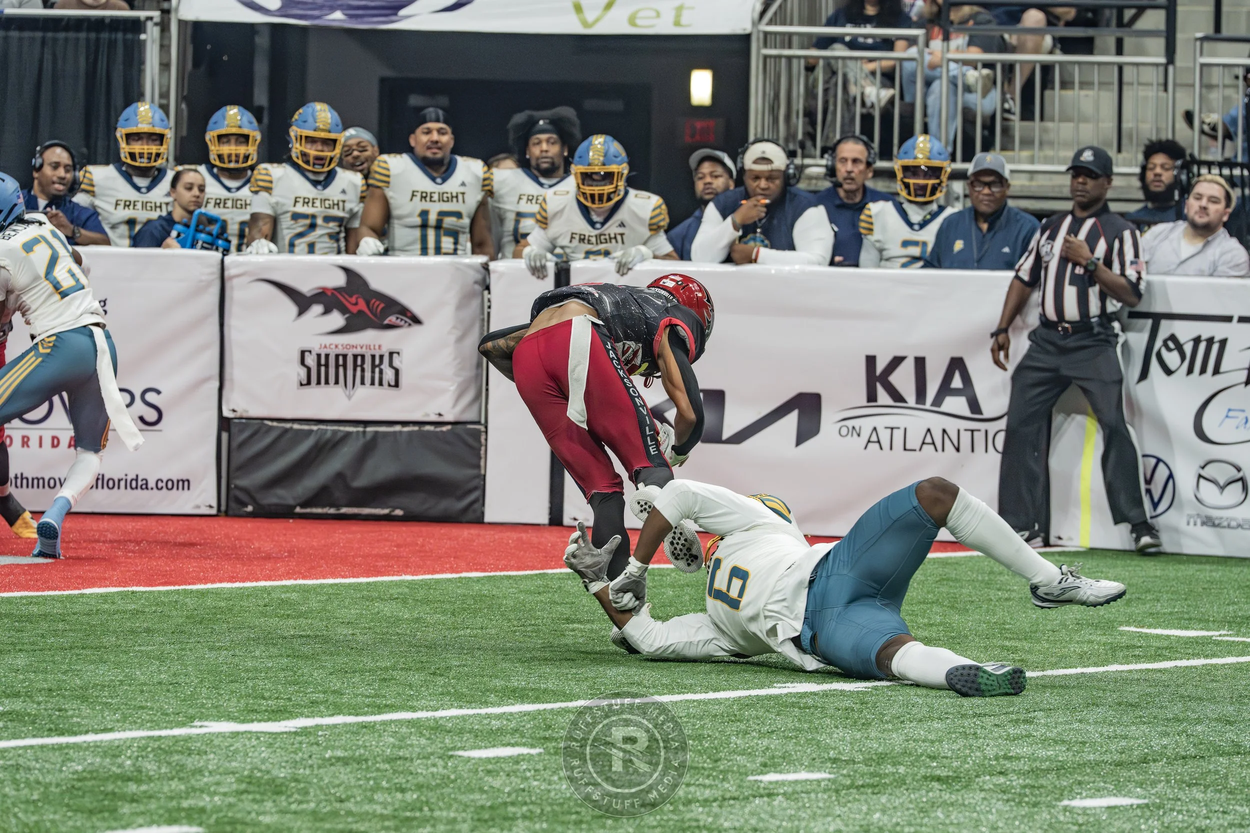 Sharks 260530-205.JPG