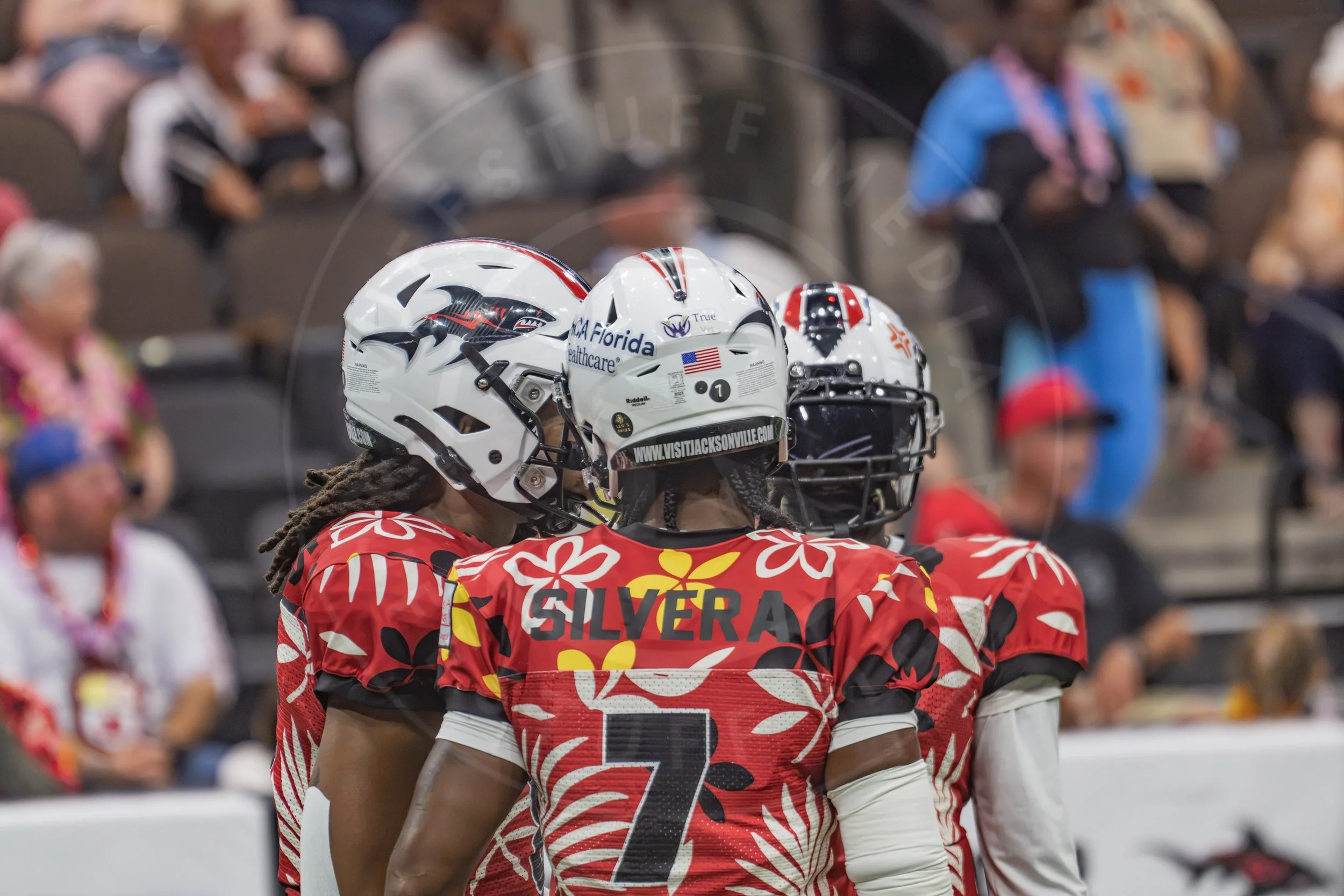 Sharks 260718-89.JPG