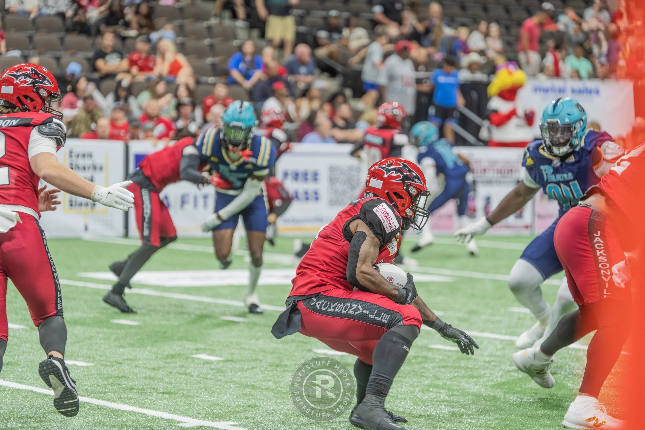 Sharks 260417-496.JPG