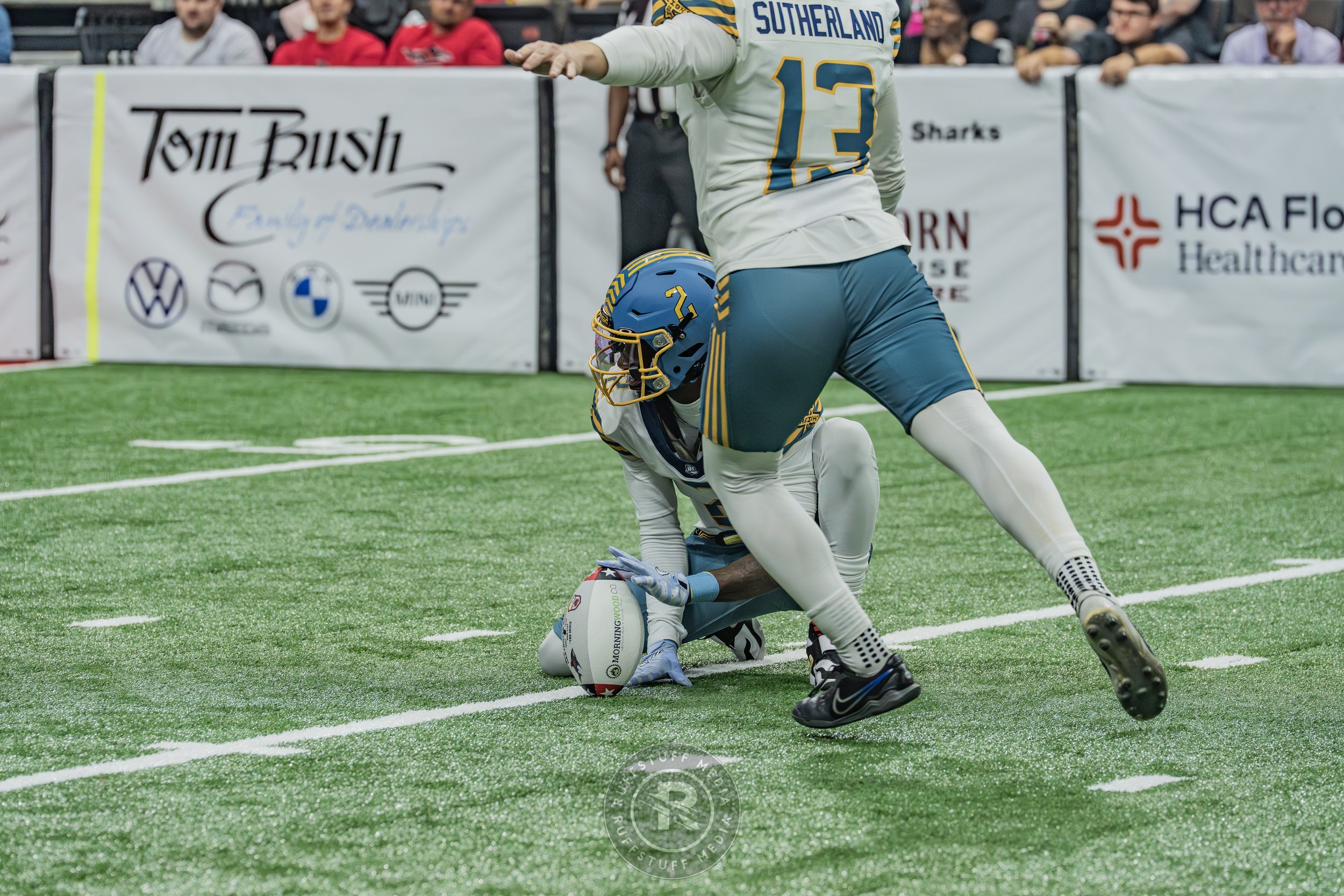 Sharks 260530-324.JPG