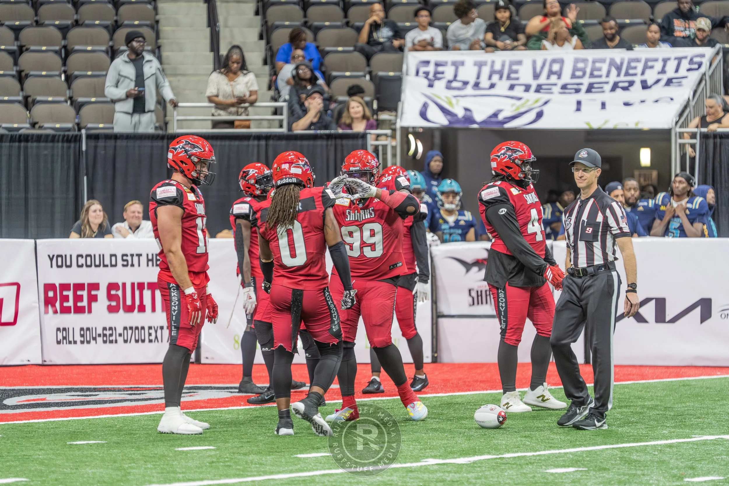 Sharks 260417-544_resize.JPG