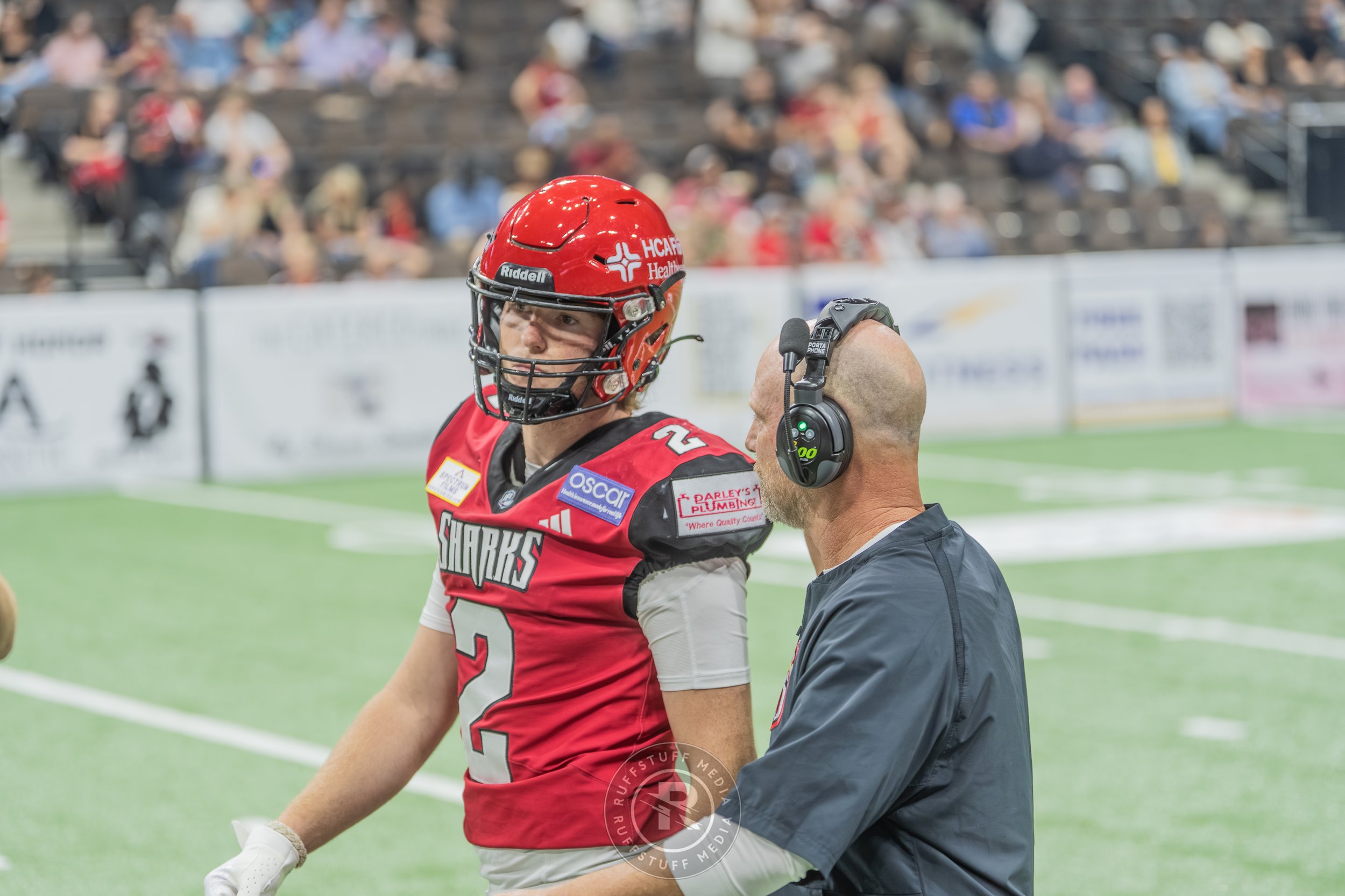 Sharks 260417-100.JPG