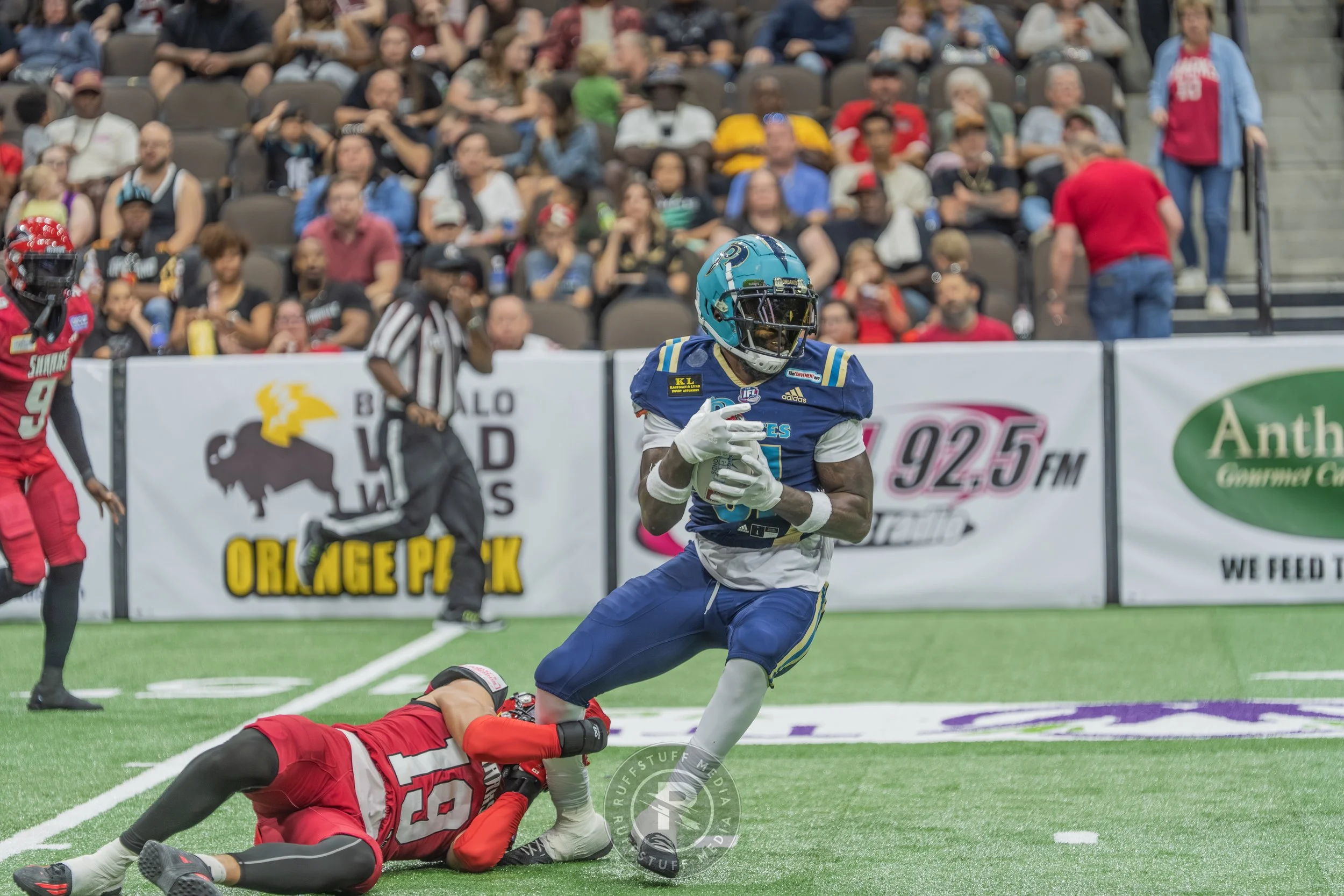 Sharks 260417-349.JPG