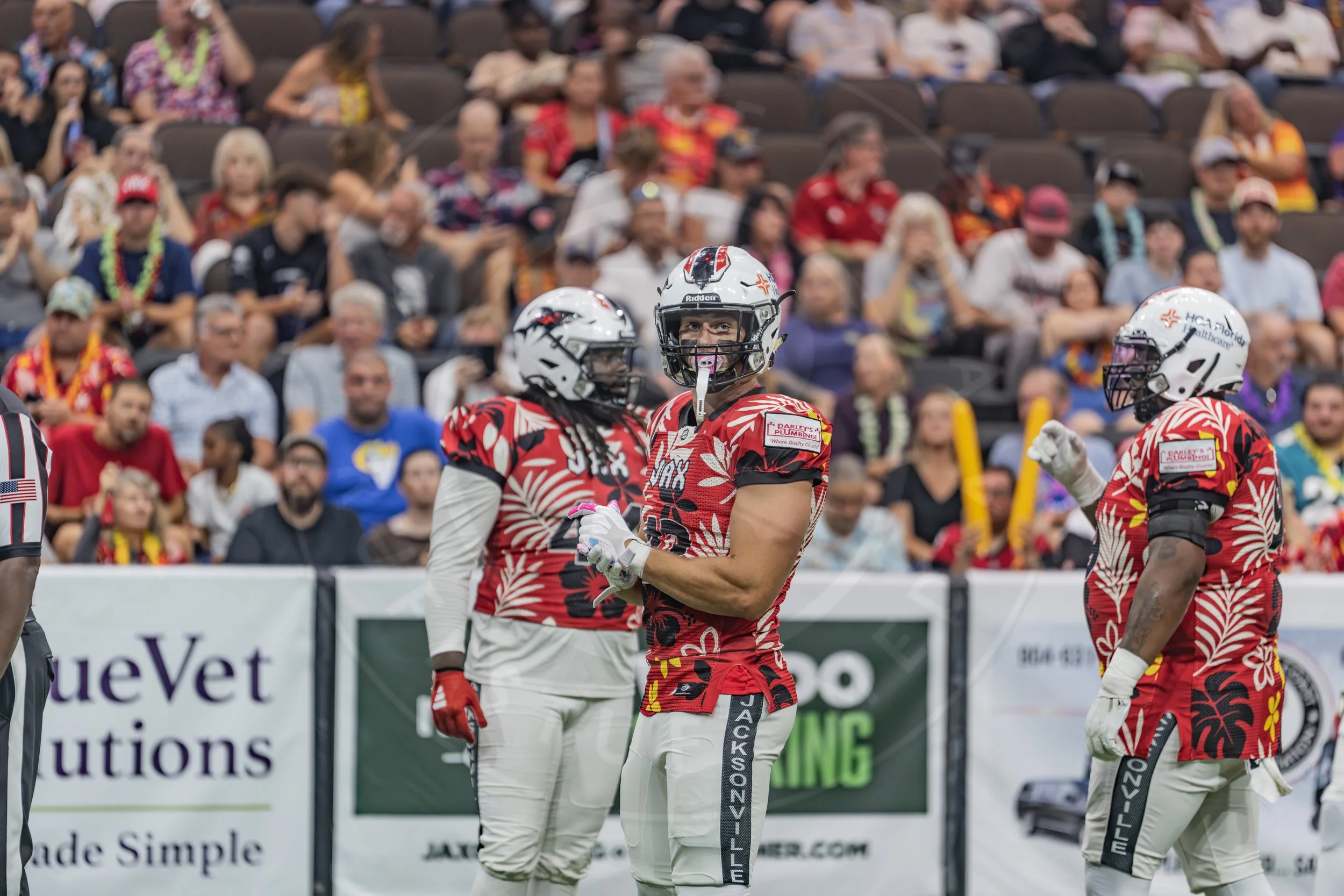 Sharks 260718-44.JPG
