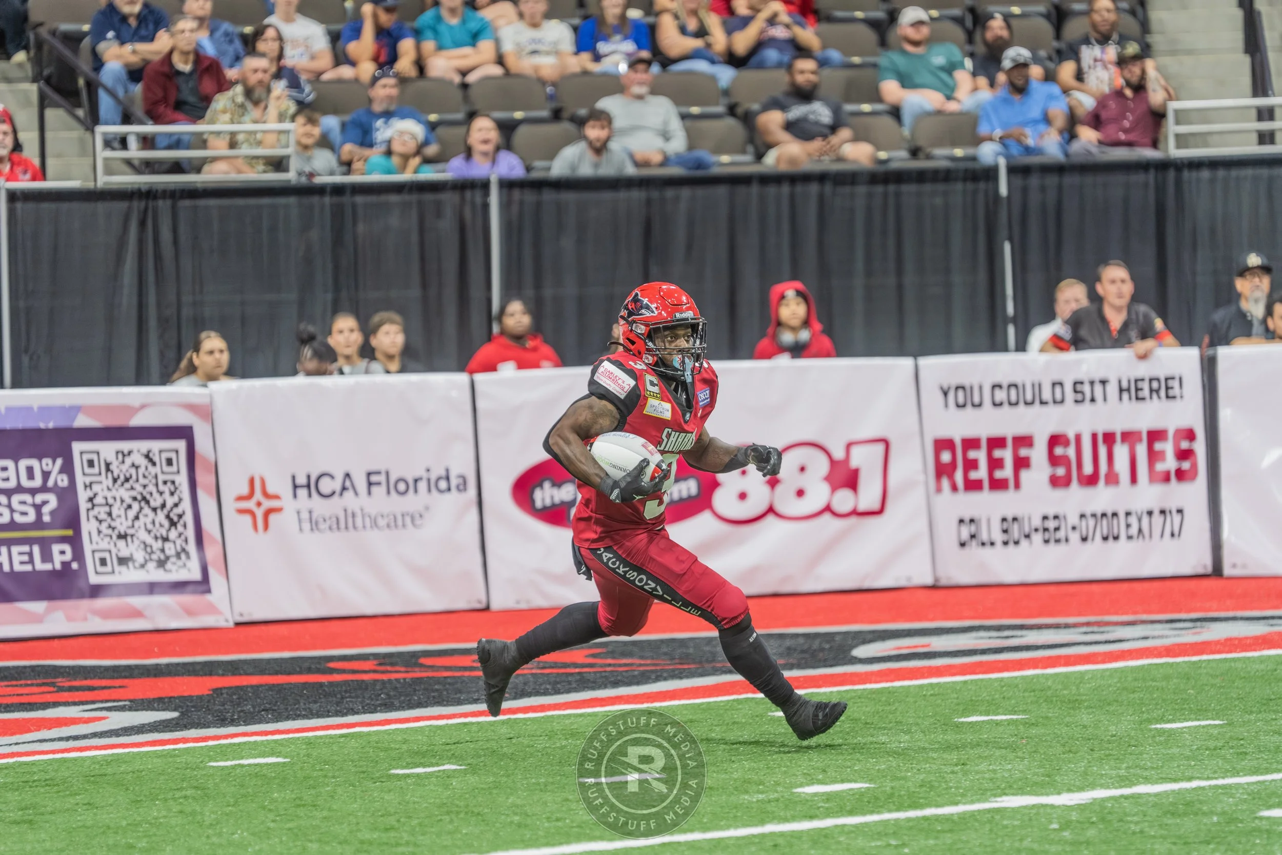 Sharks 260417-461.JPG