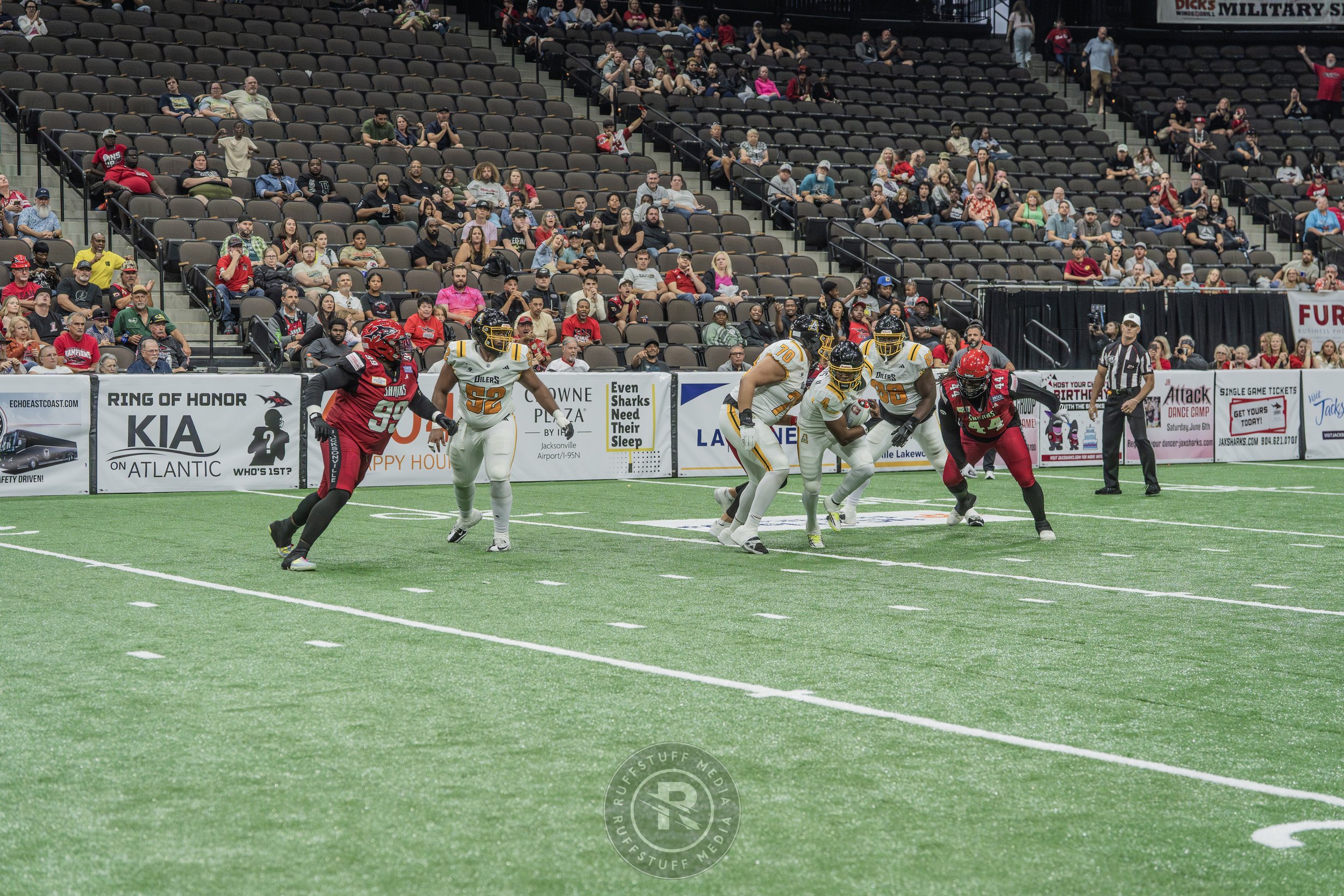 Sharks 260509-550_resize.JPG