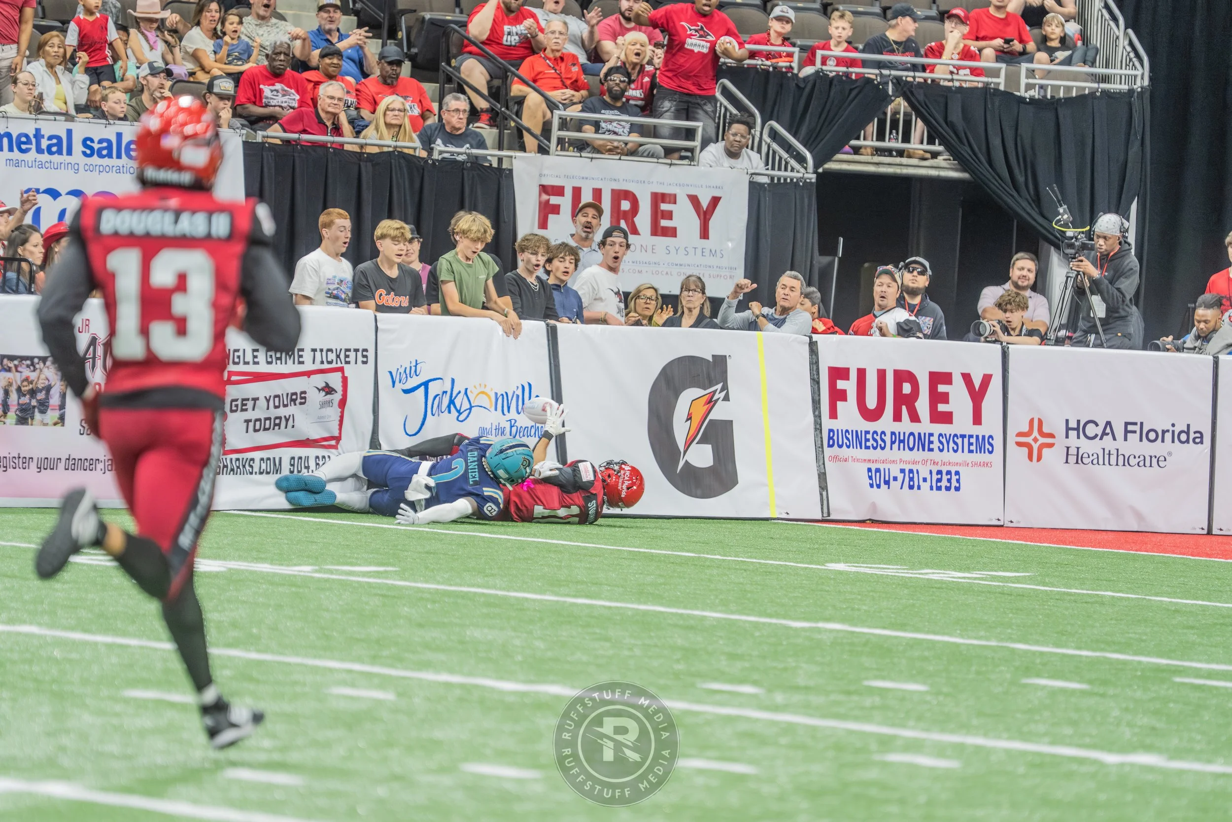 Sharks 260417-481.JPG