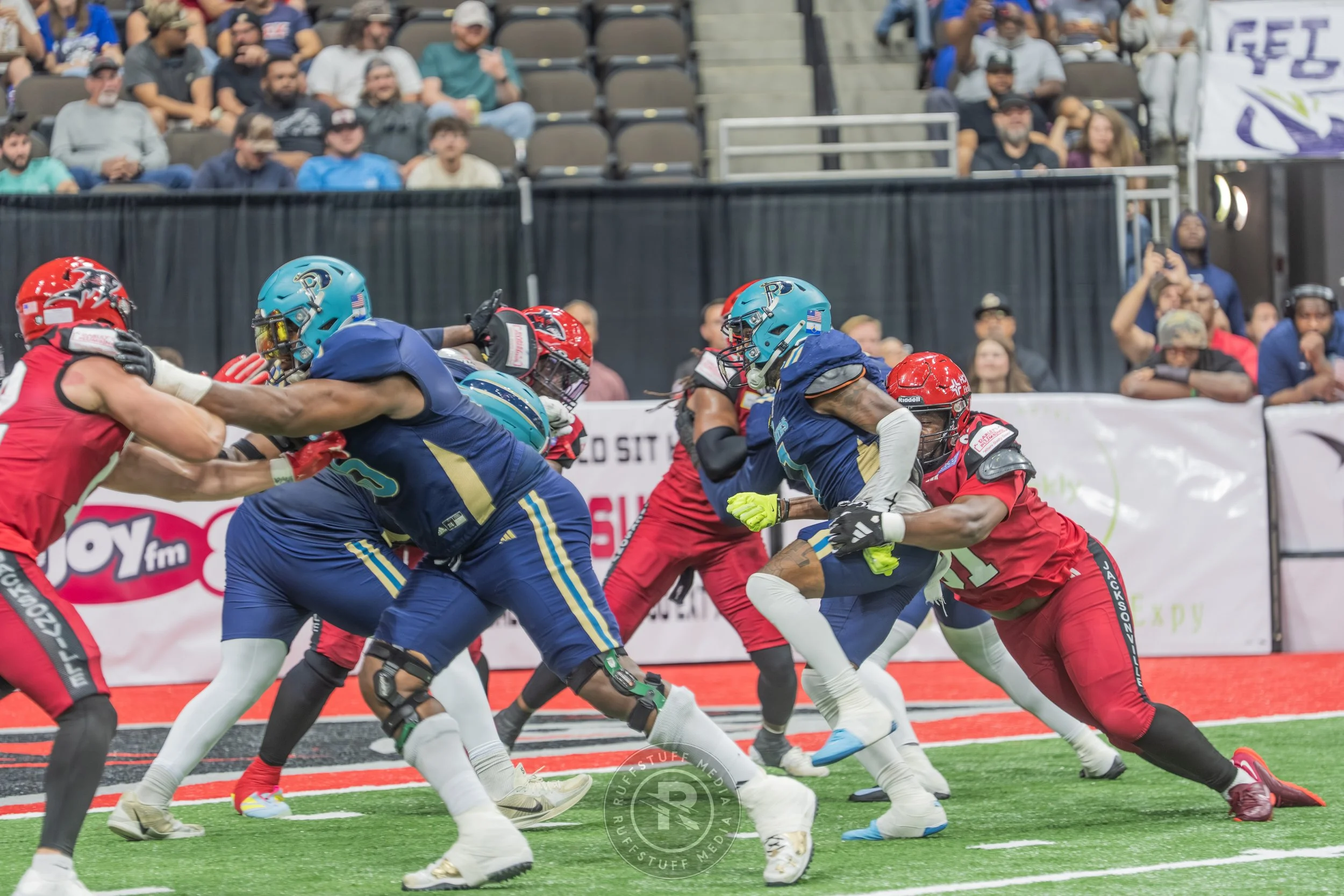 Sharks 260417-195.JPG