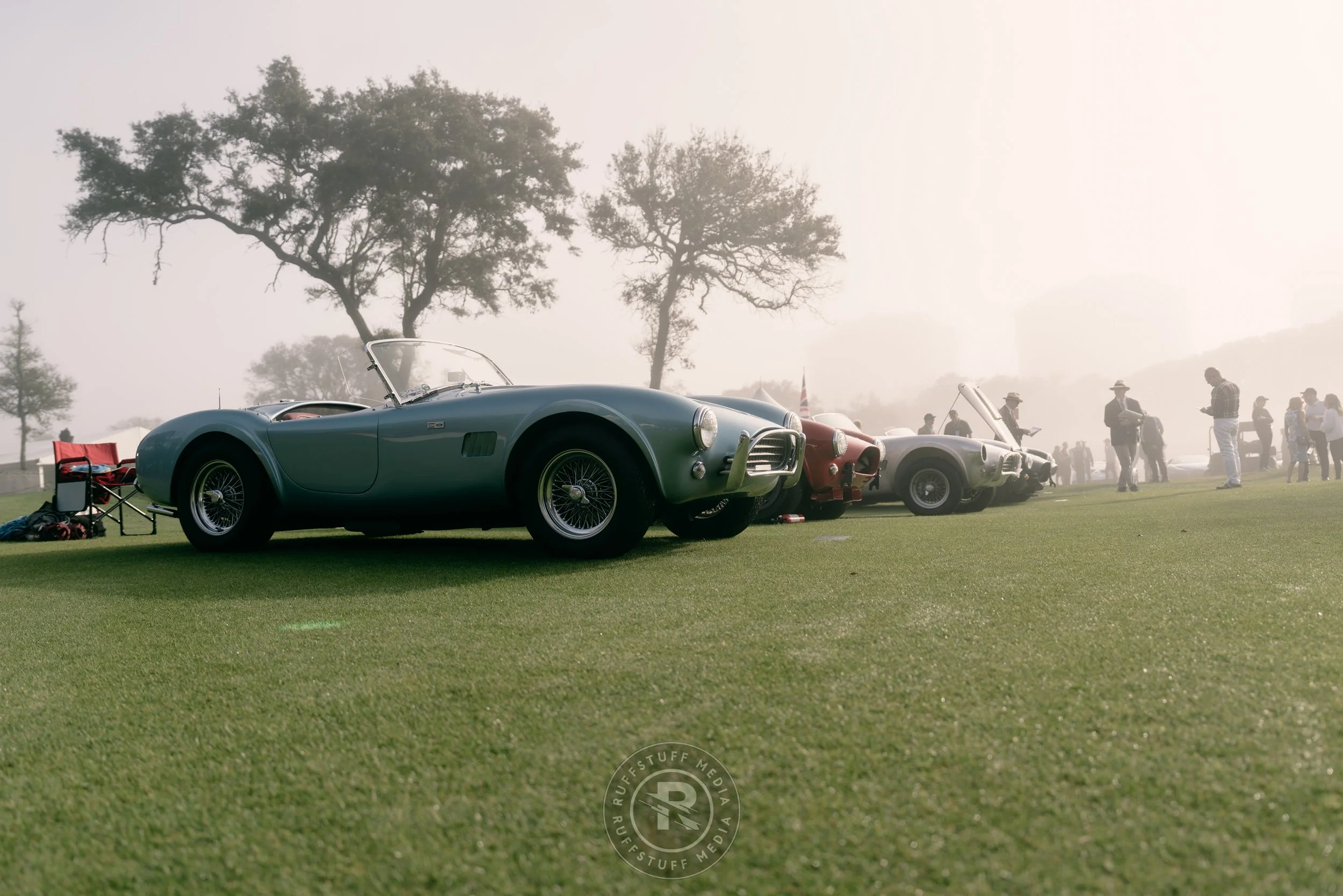 Amelia 260307-8_resize.JPG