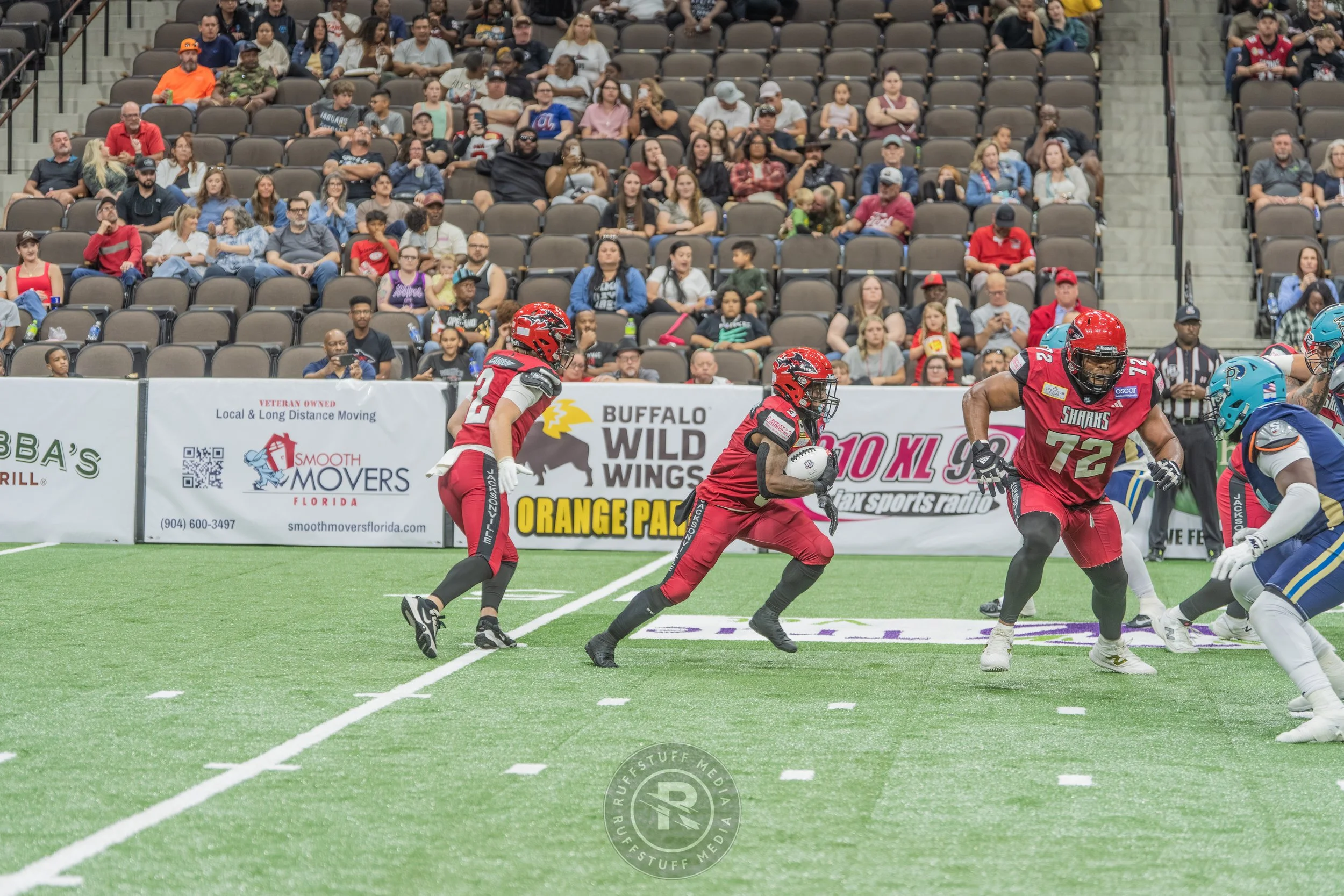 Sharks 260417-484.JPG