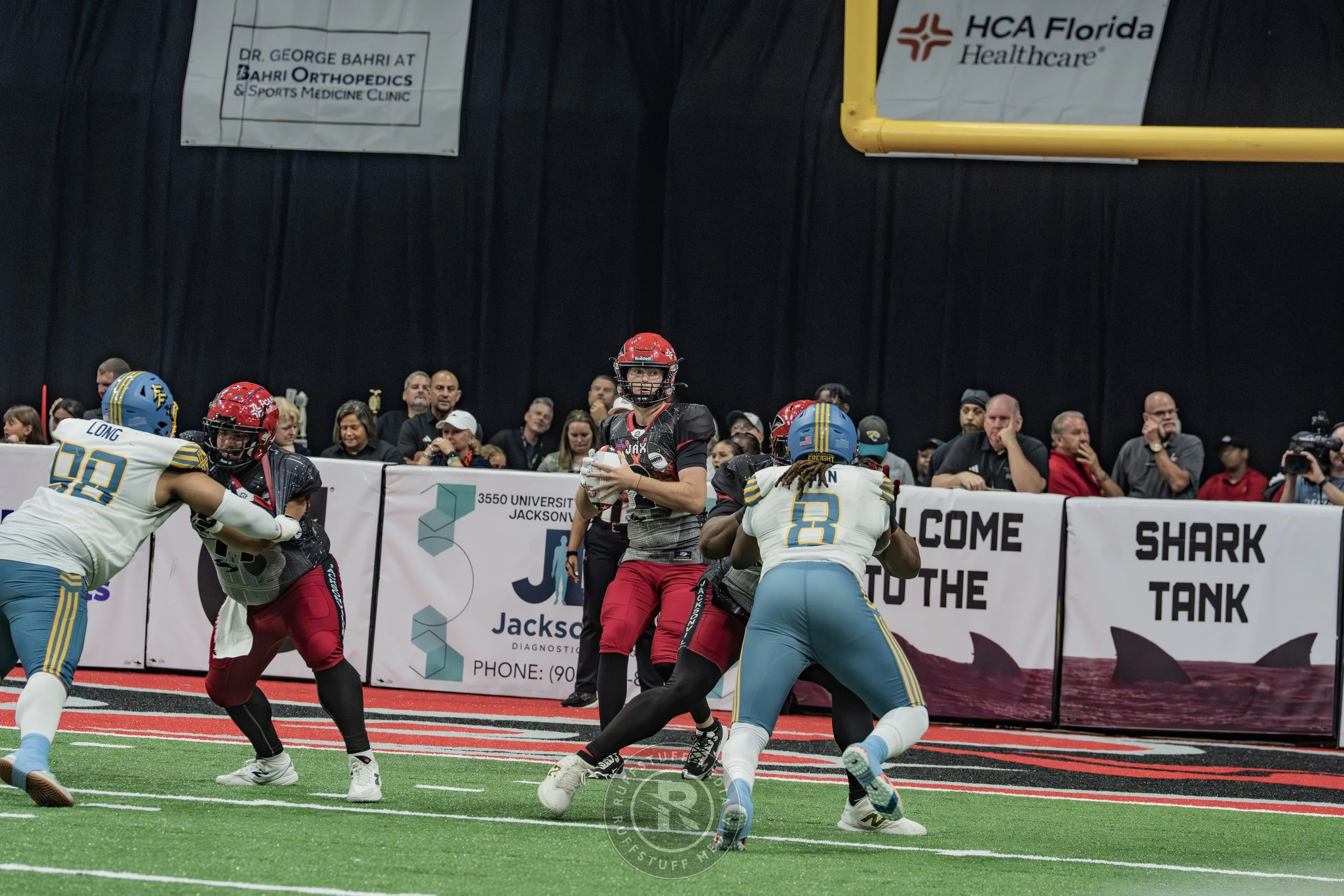 Sharks 260530-498.JPG