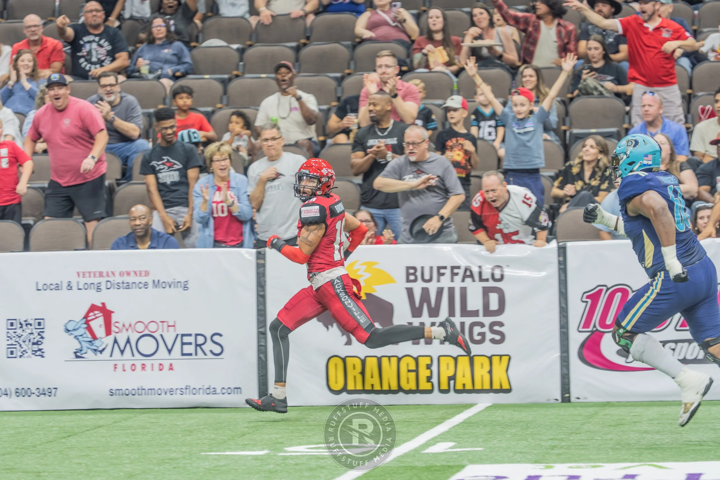 Sharks 260417-141.JPG