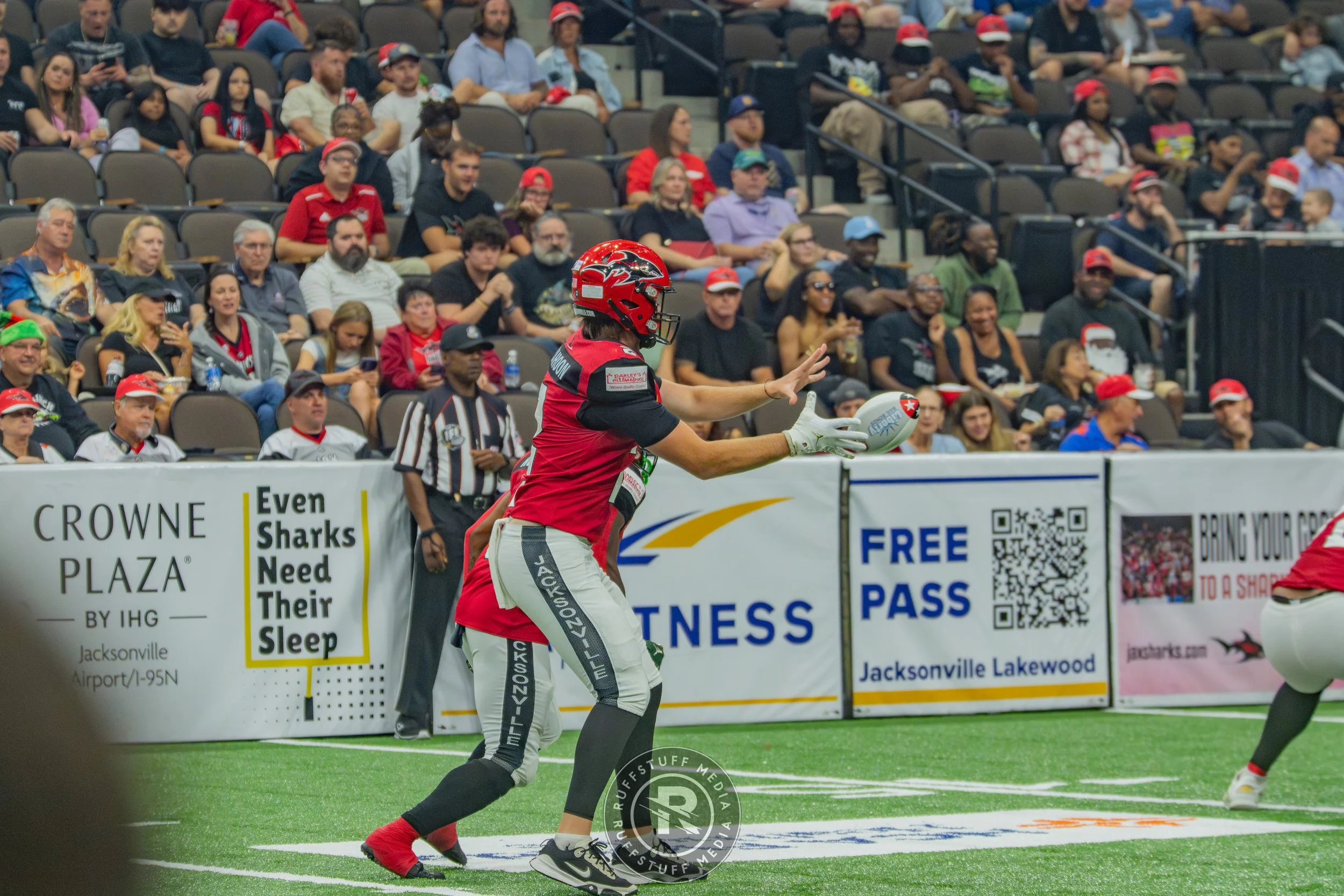 Sharks 260606-182.jpg