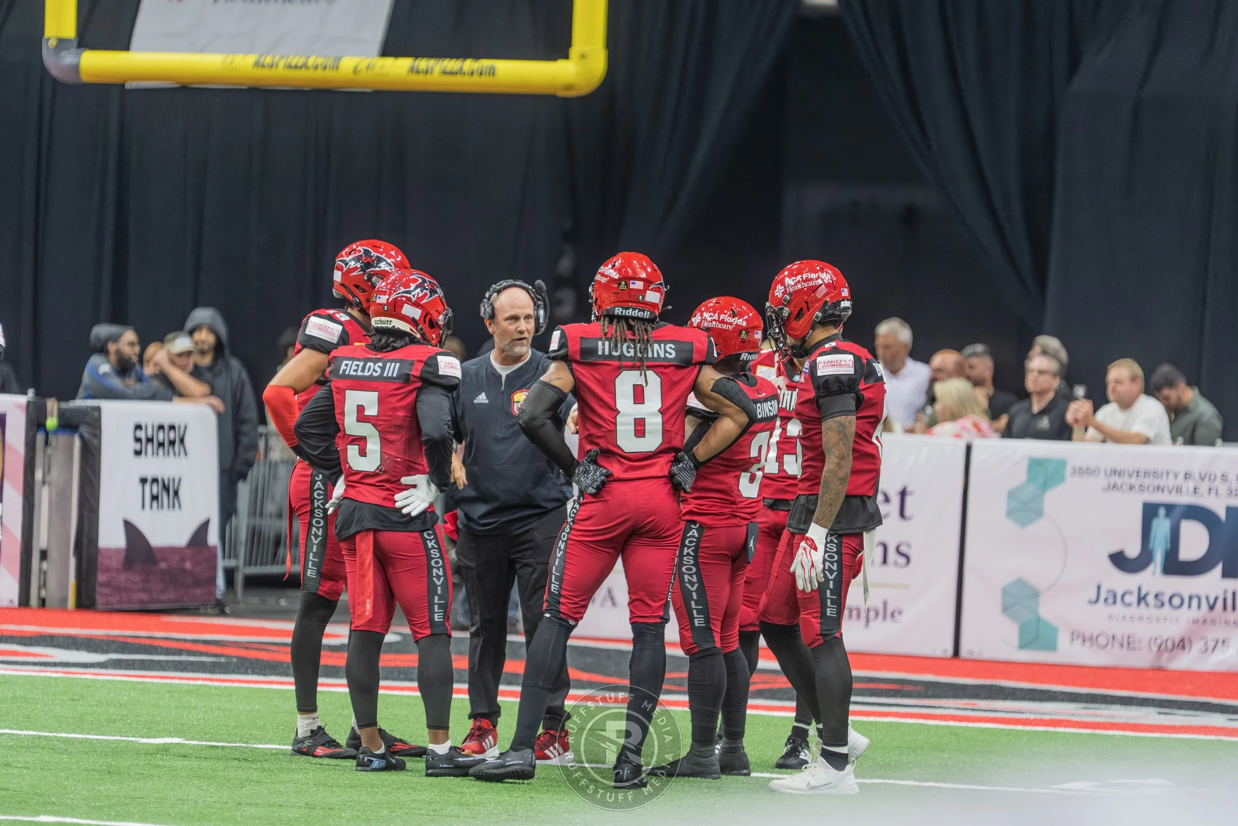 Sharks 260417-203.JPG
