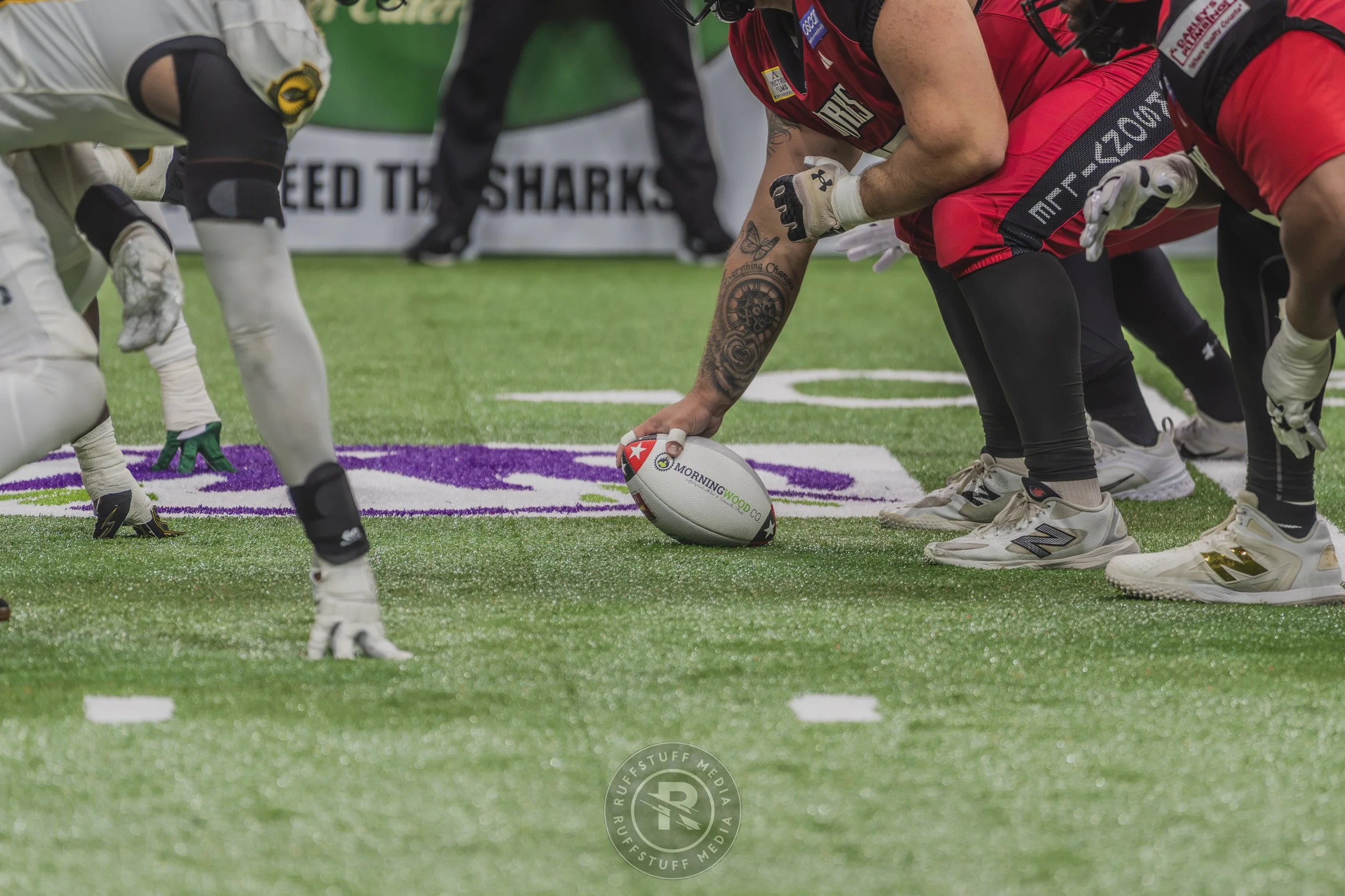 Sharks 260628-481.JPG