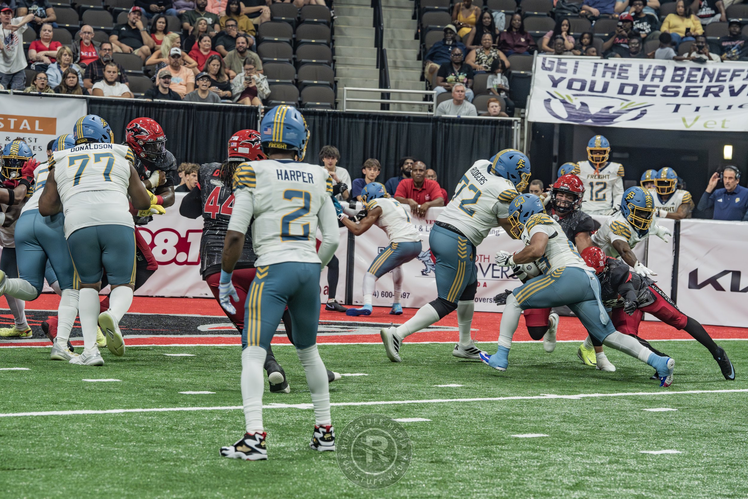 Sharks 260530-239.JPG