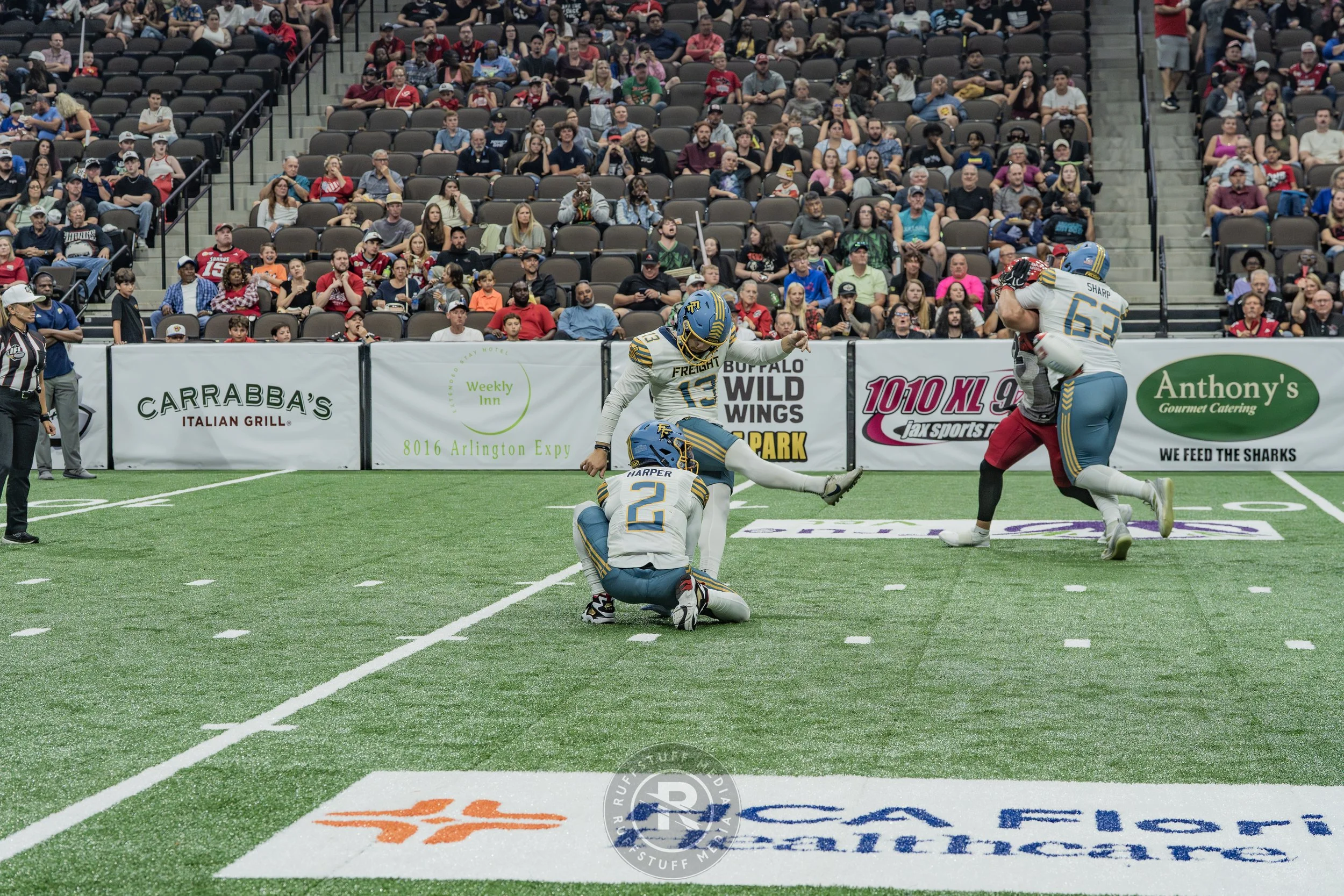 Sharks 260530-467.JPG