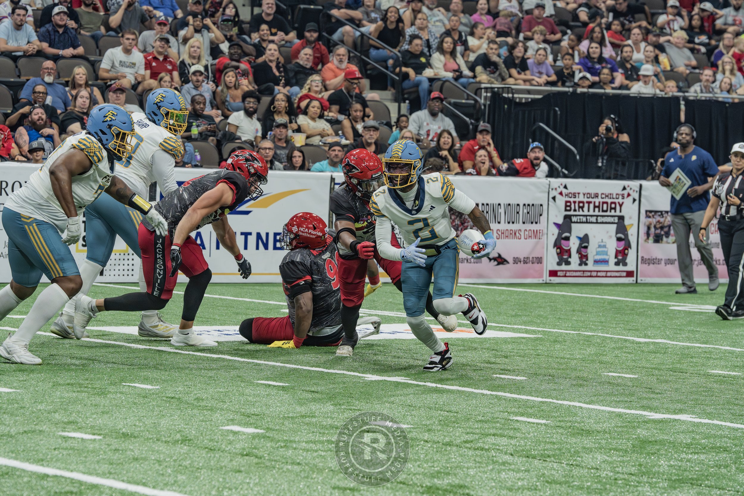 Sharks 260530-277.JPG