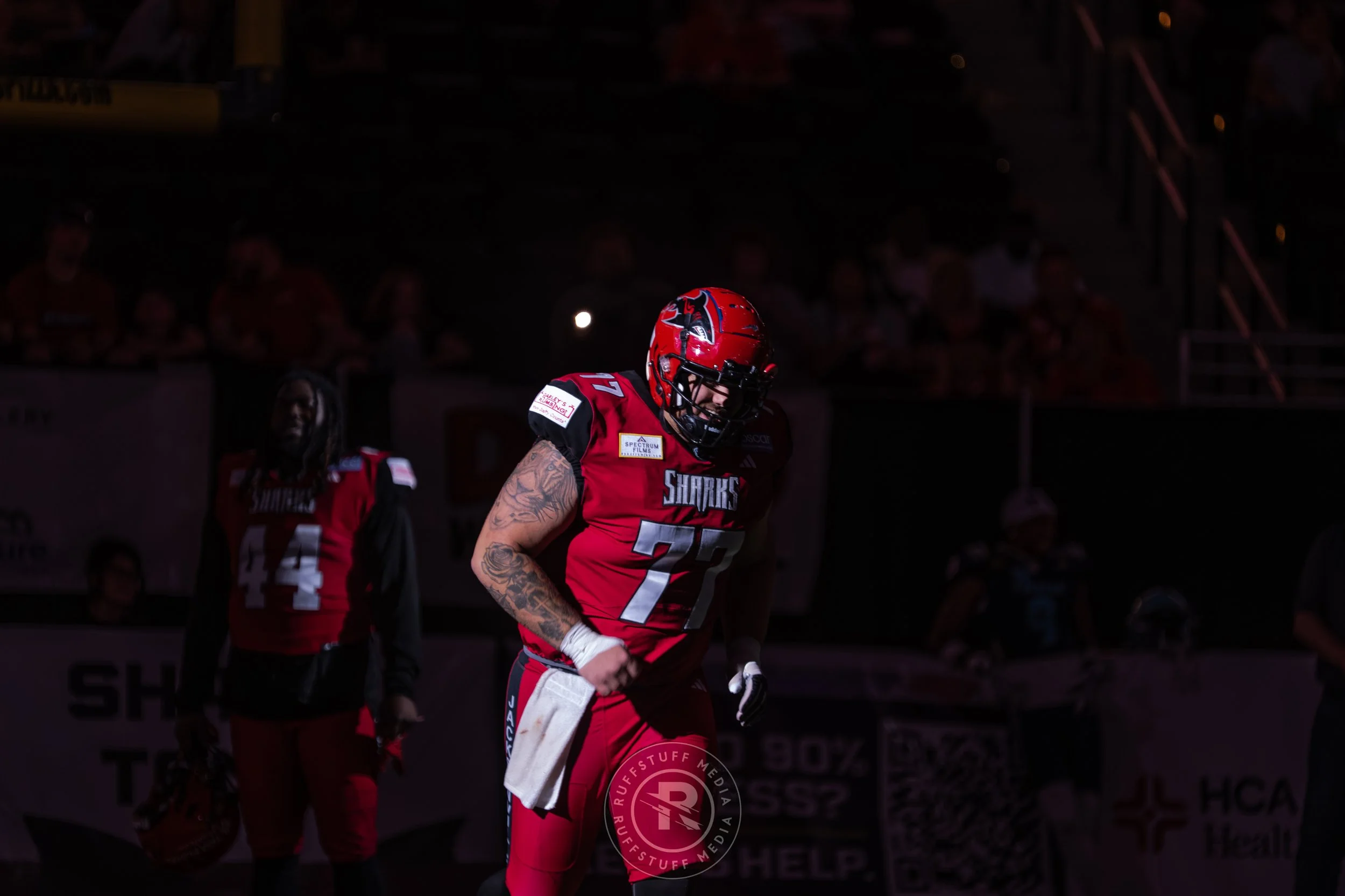 Sharks 260417-81.JPG