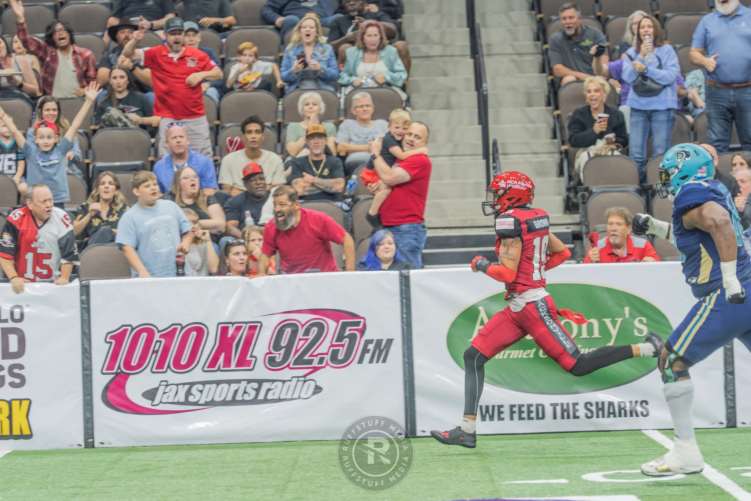 Sharks 260417-139.JPG