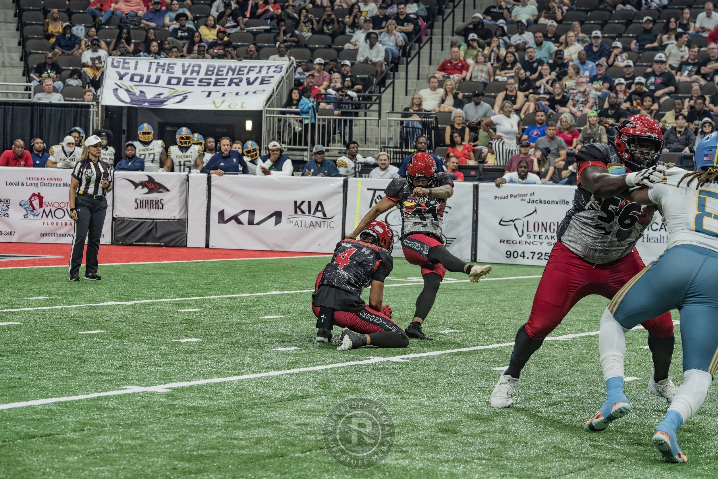 Sharks 260530-317.JPG