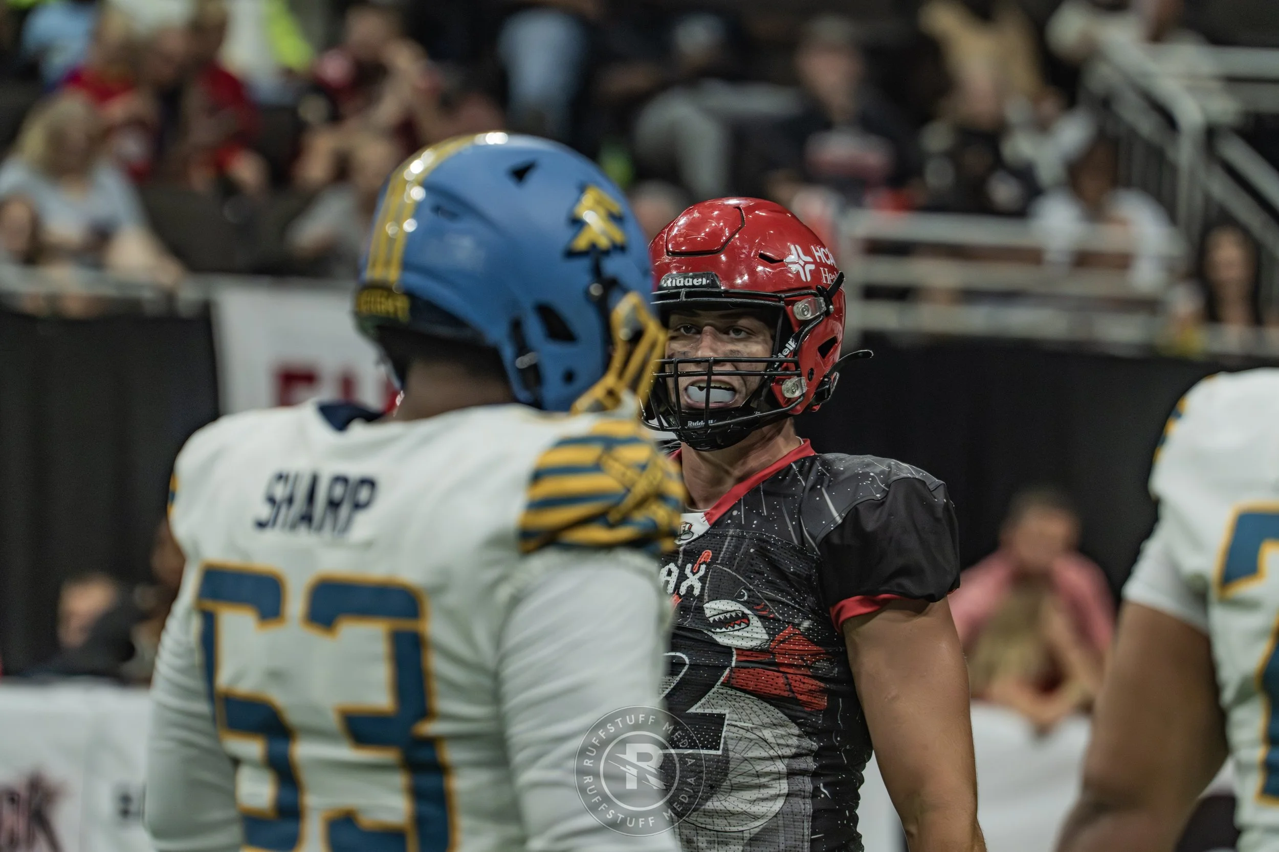 Sharks 260530-541.JPG