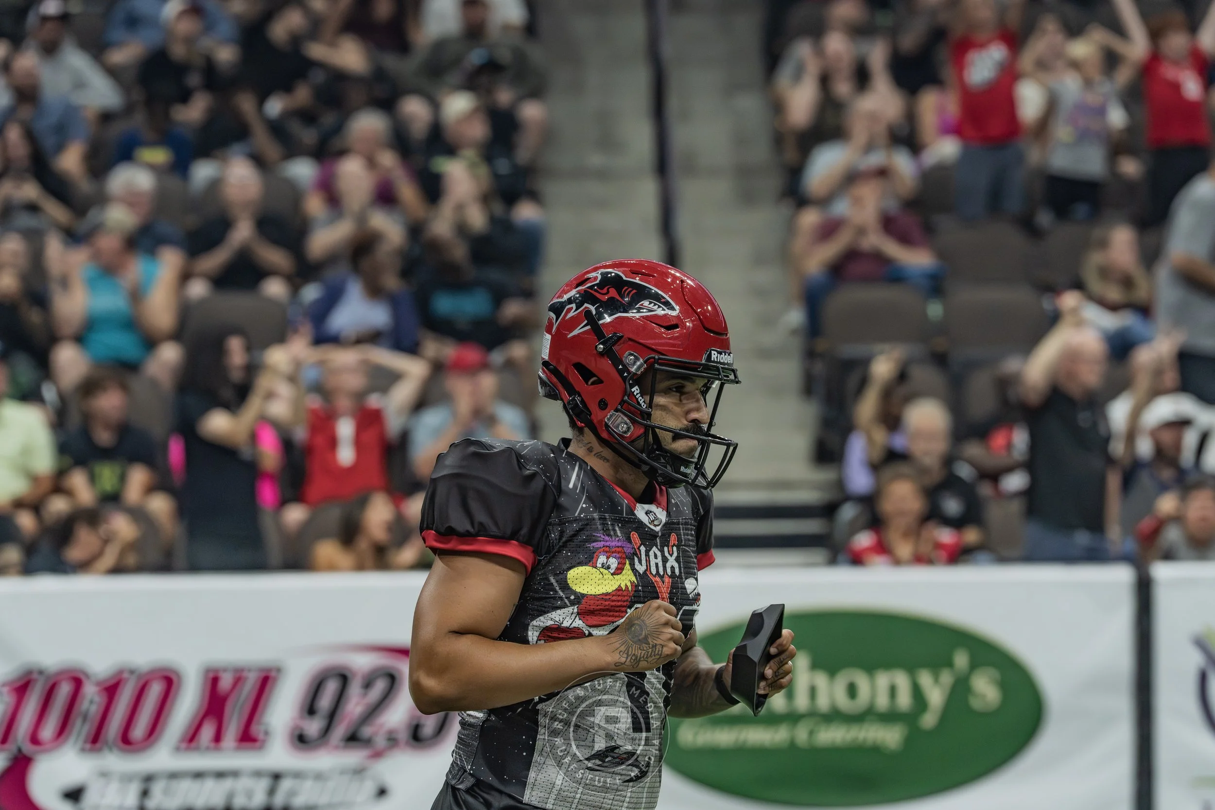Sharks 260530-269.JPG