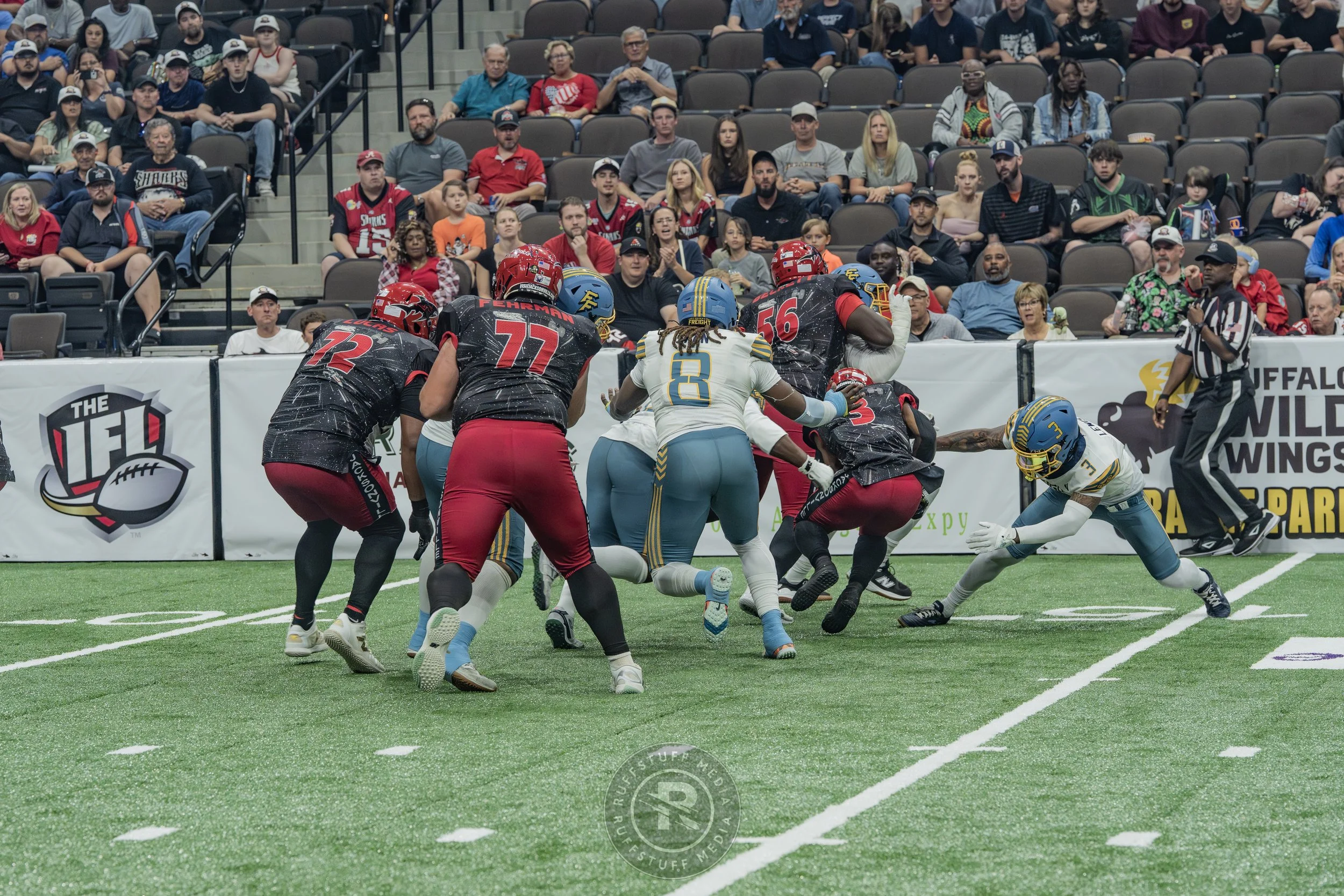 Sharks 260530-194.JPG