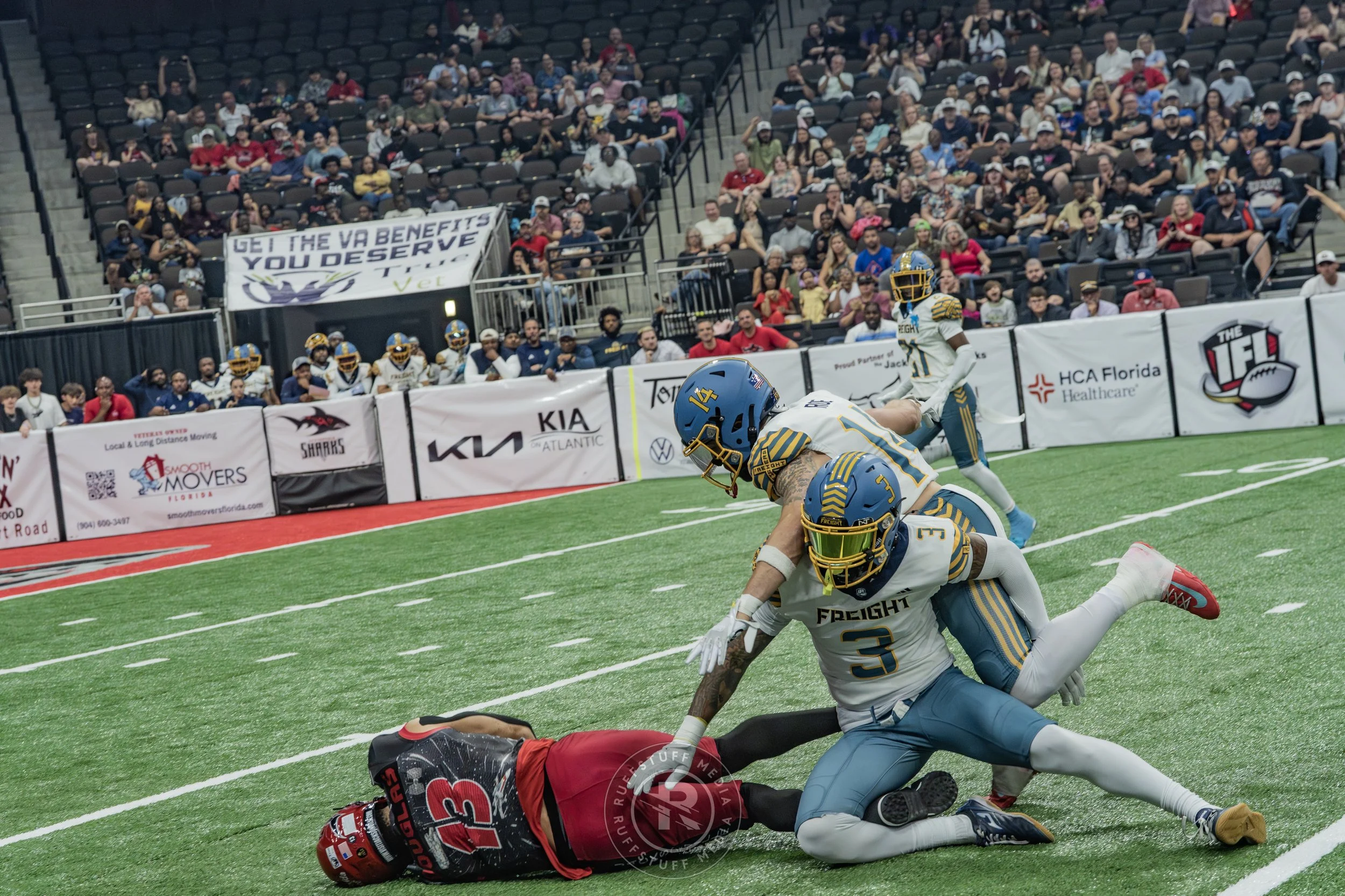 Sharks 260530-190.JPG