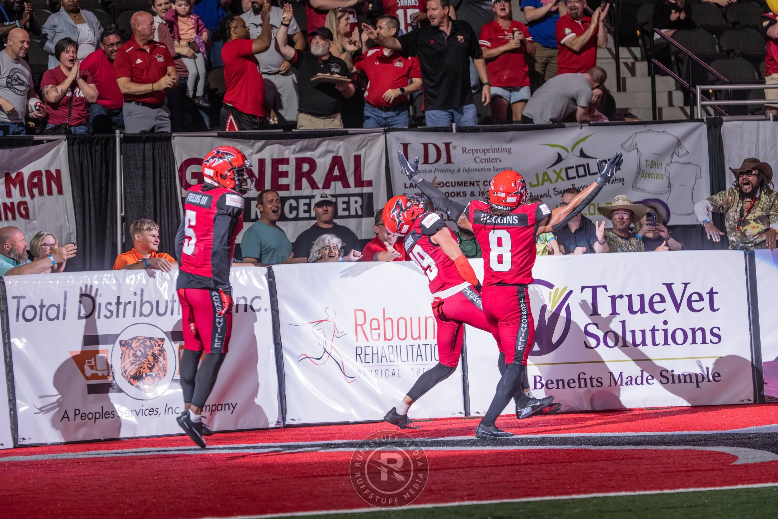 Sharks 260417-149_resize.JPG