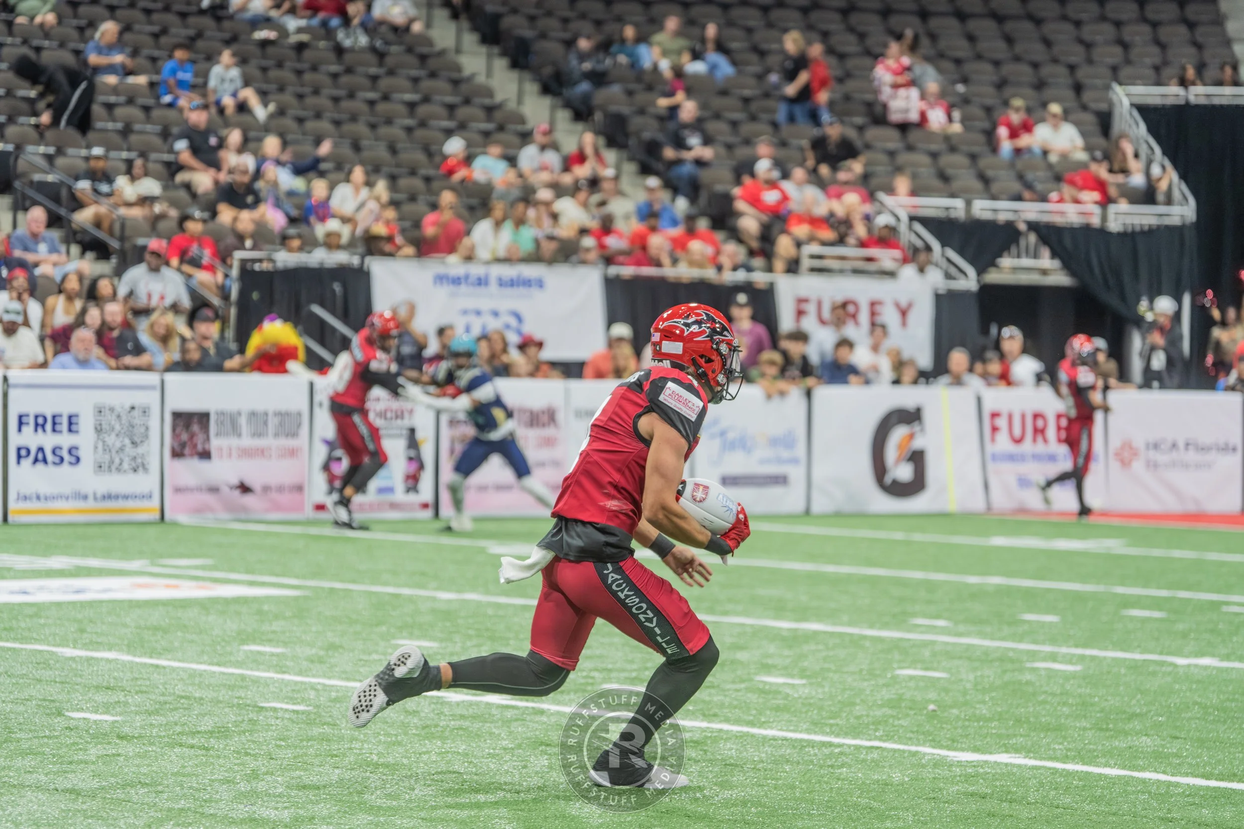 Sharks 260417-512.JPG