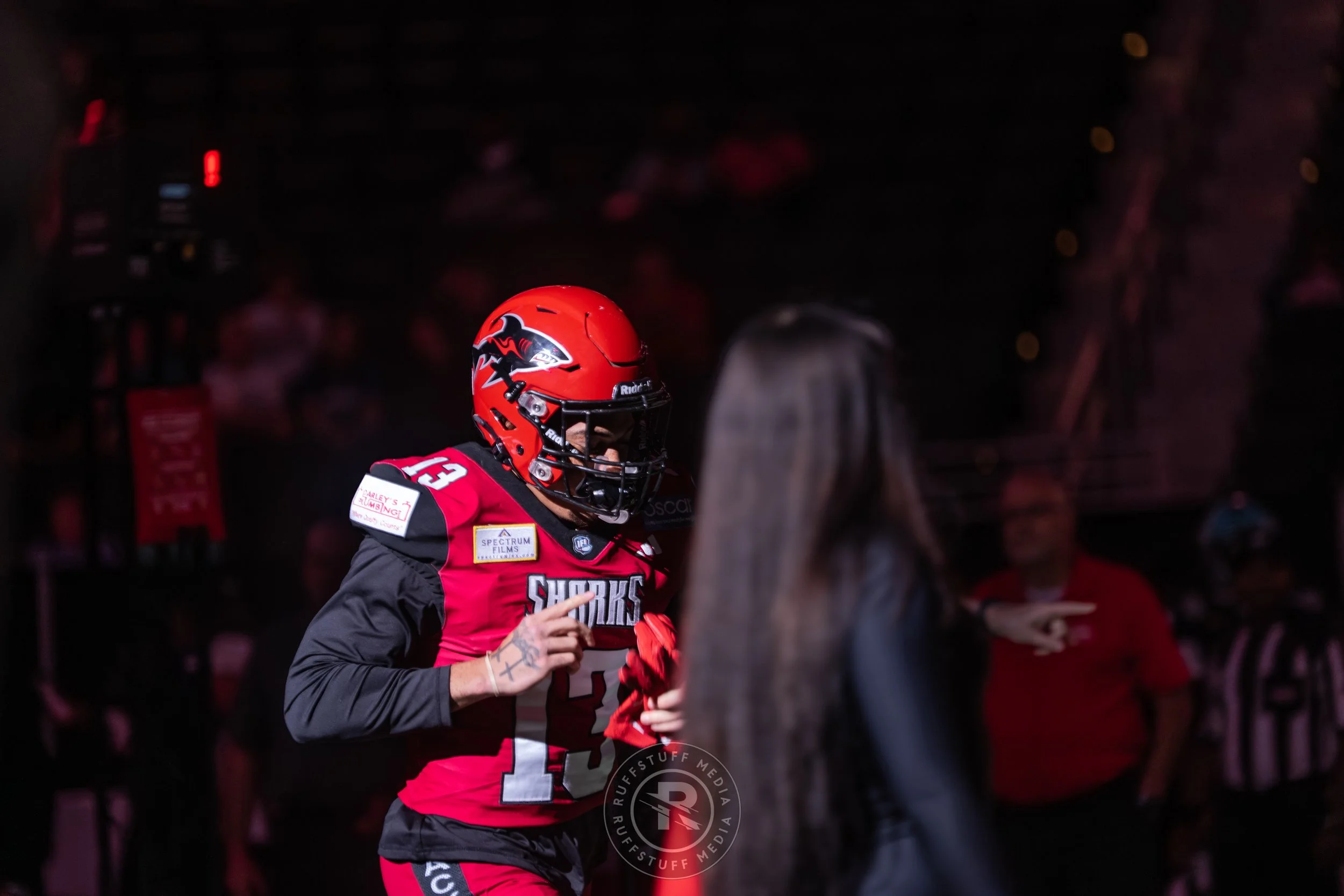 Sharks 260417-77.JPG