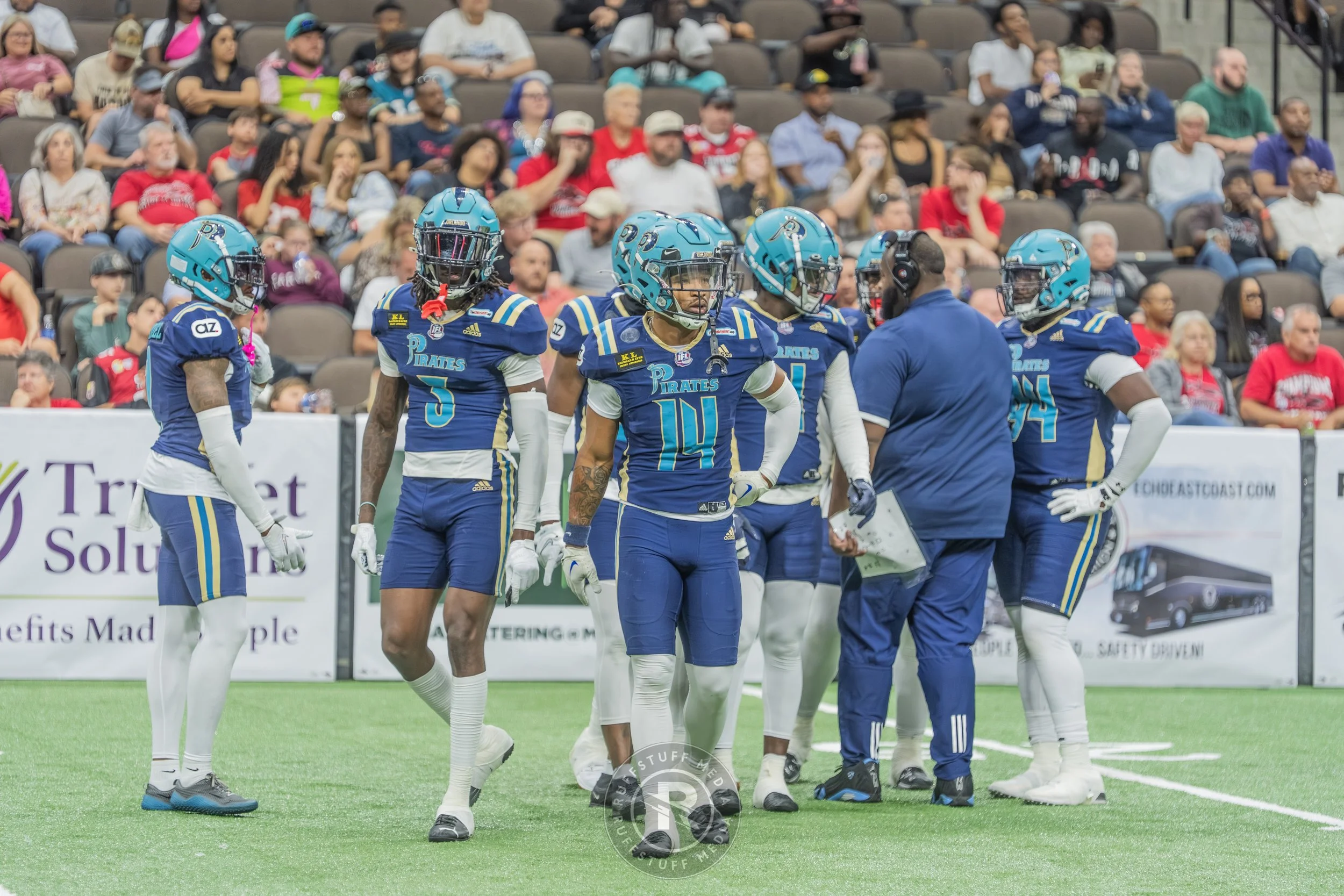 Sharks 260417-426_resize.JPG